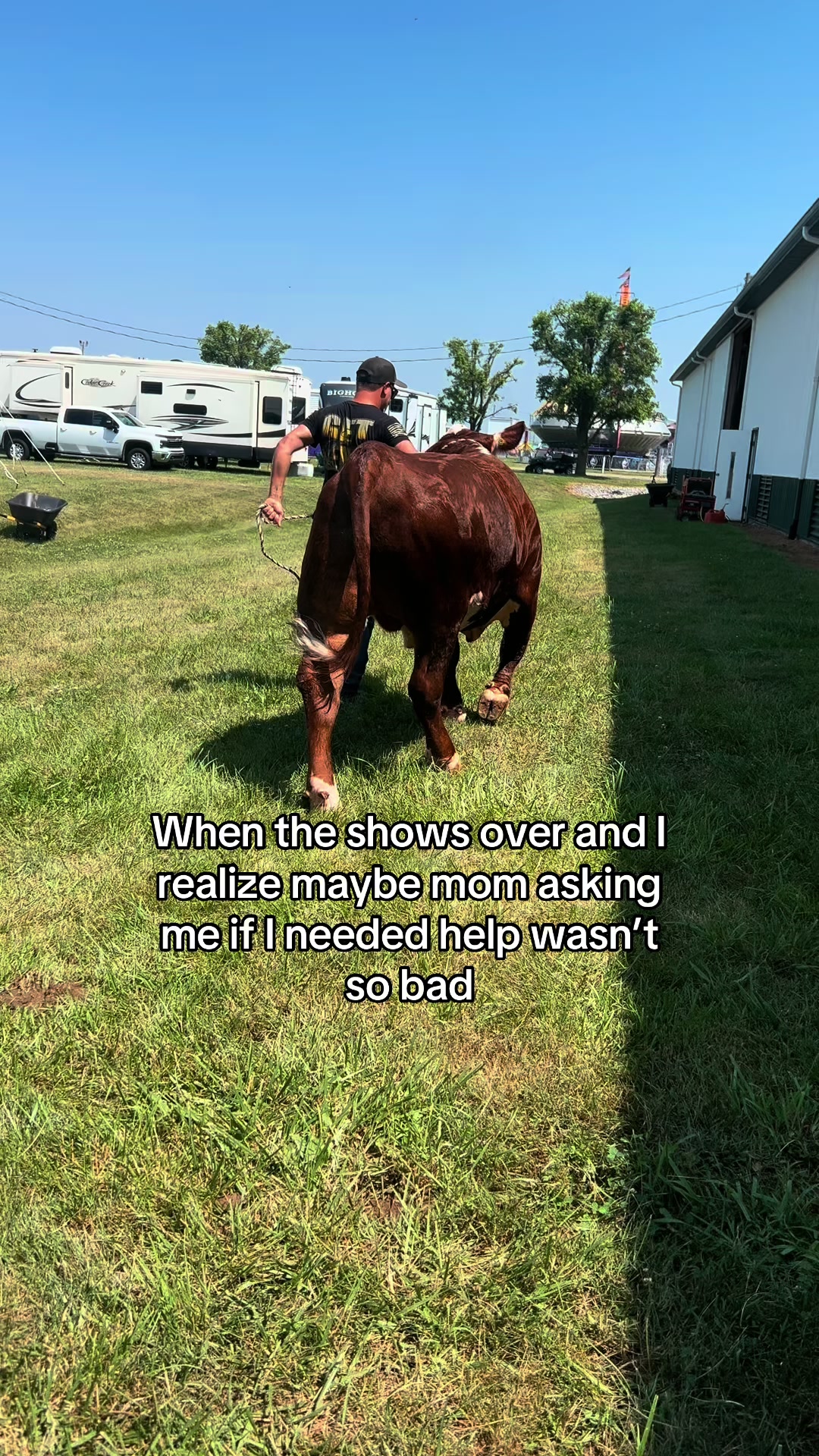 @Sylvia🐄
