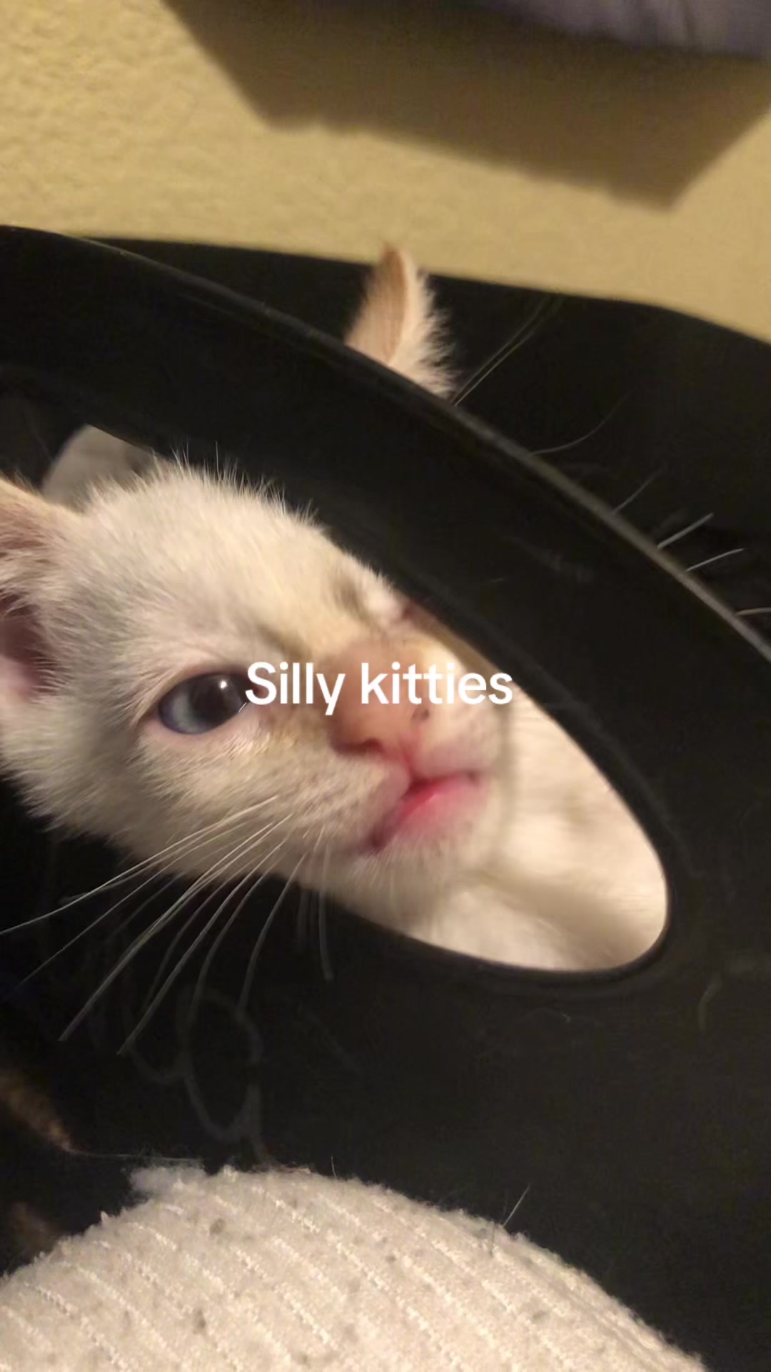 @imustkillthegirl