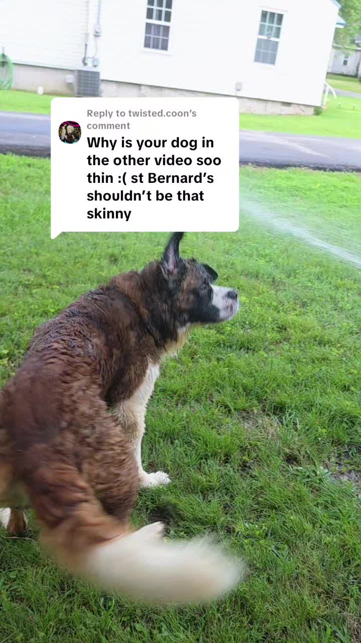 @landofdaddy