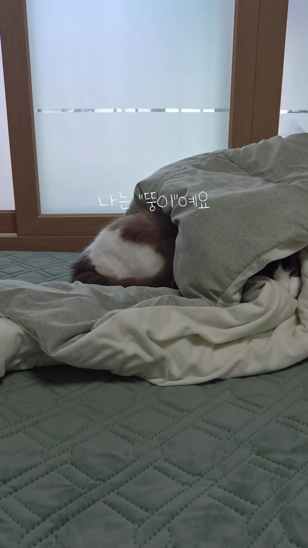 @ddoong2(๋ฑ์ด)