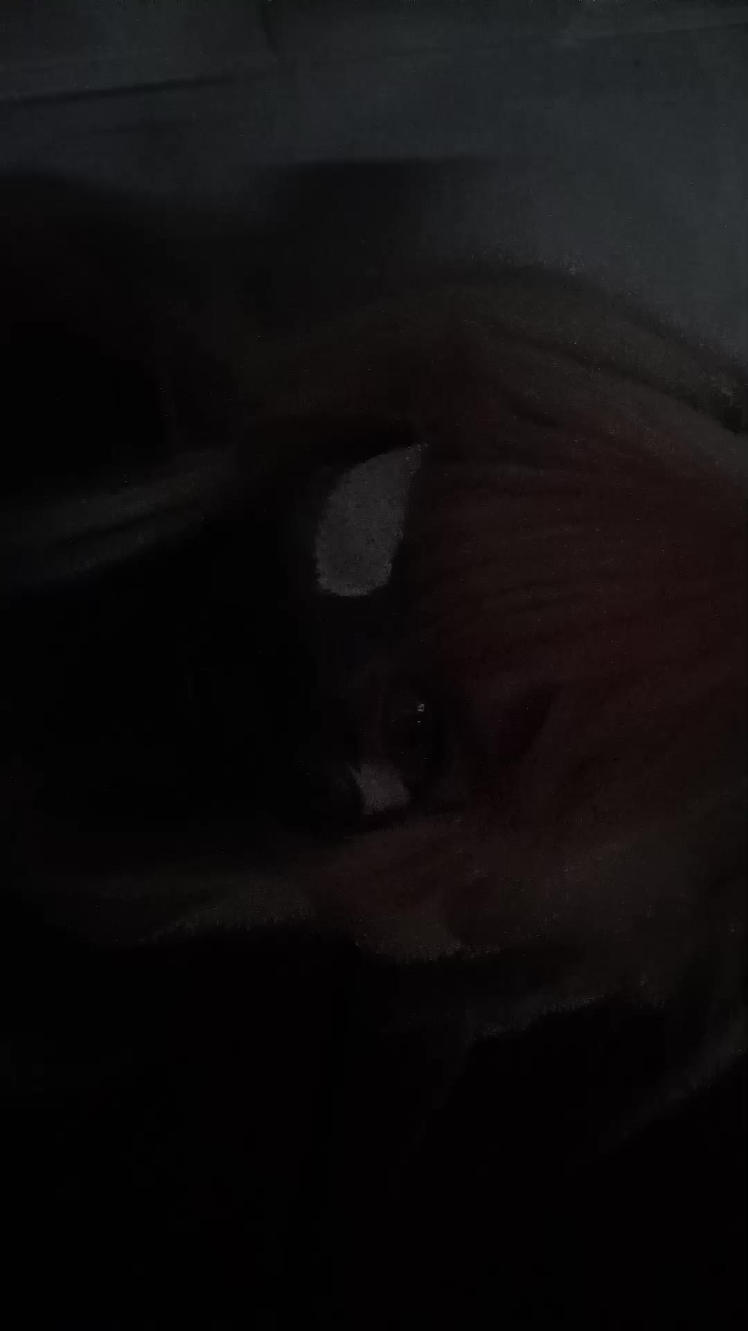 @⋆☾.𝓡𝓲𝓬𝓱𝓲 ⋆。