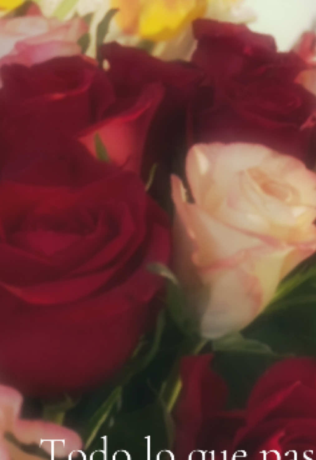 @♡࿐A ᨳུ ♡