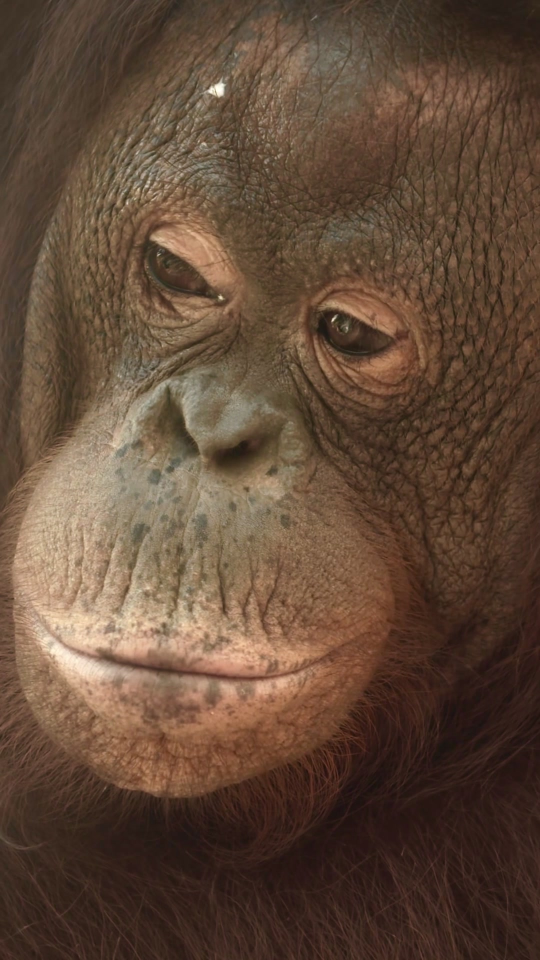 @Kai Meyer | Wildlife Filmmaker