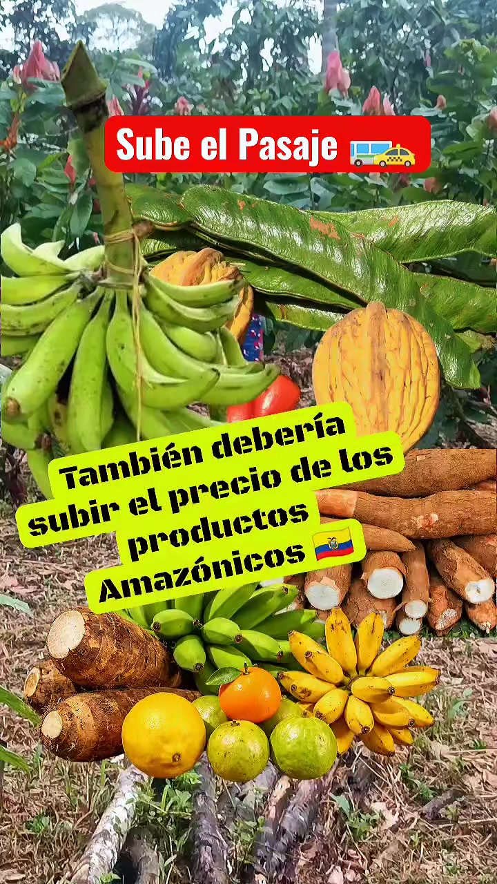 @🇯 🅾️ 🇭 🇳 🇸 🇪🇨