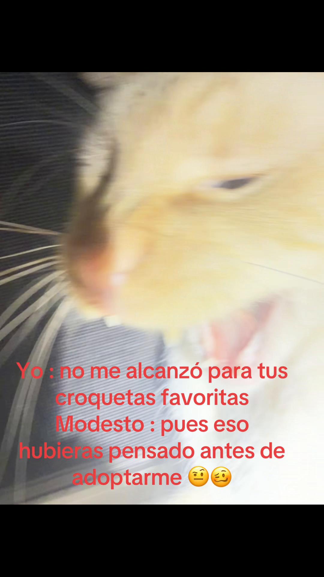 @Emilio y Modesto