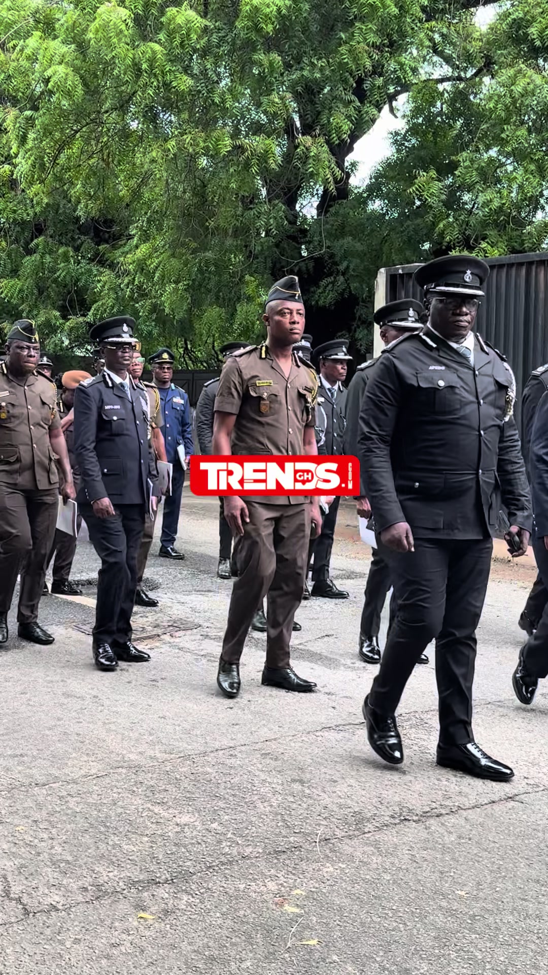 @TRENDS GH