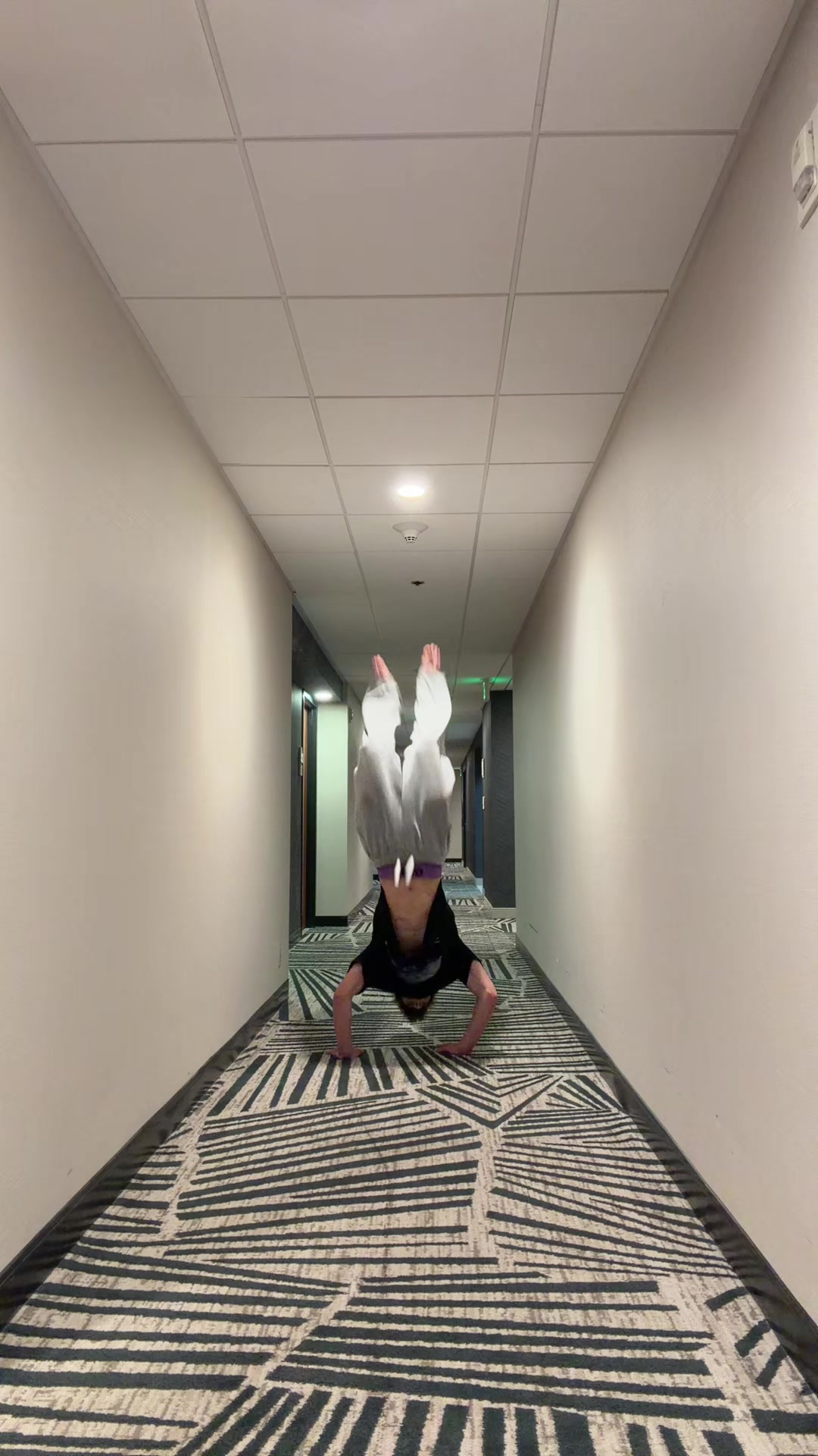 @nidalwonder
