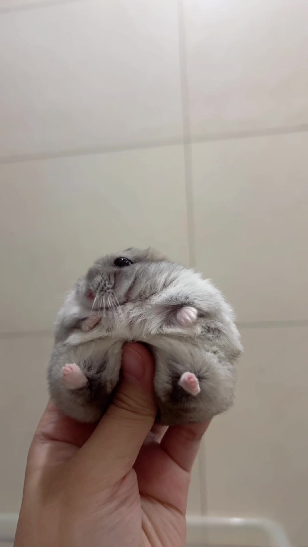 @𝒆𝒍𝒍𝒂✨