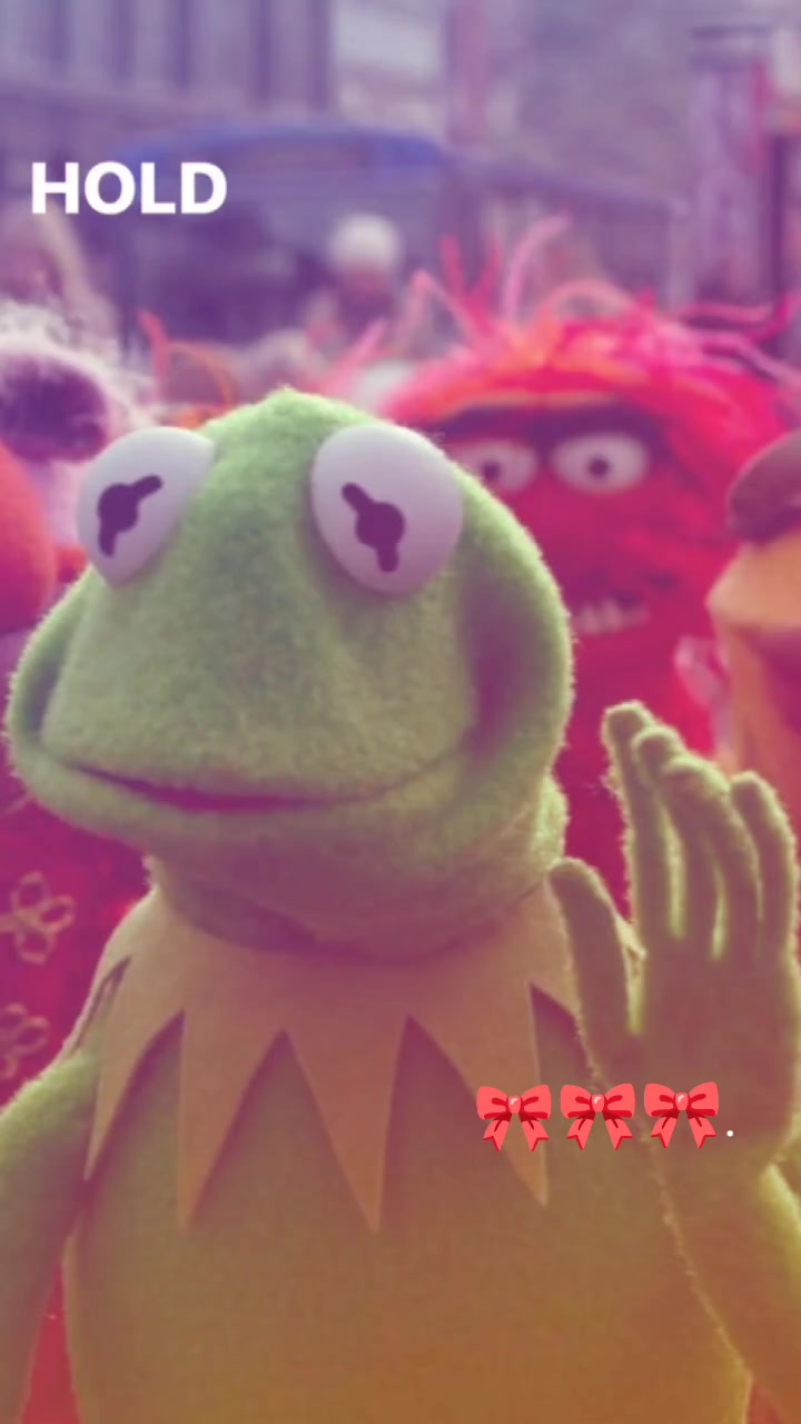 @kermit 🐸🪕
