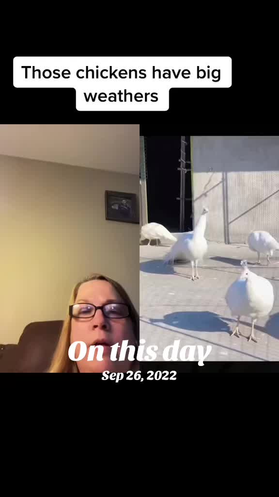@Queenlovefrogs