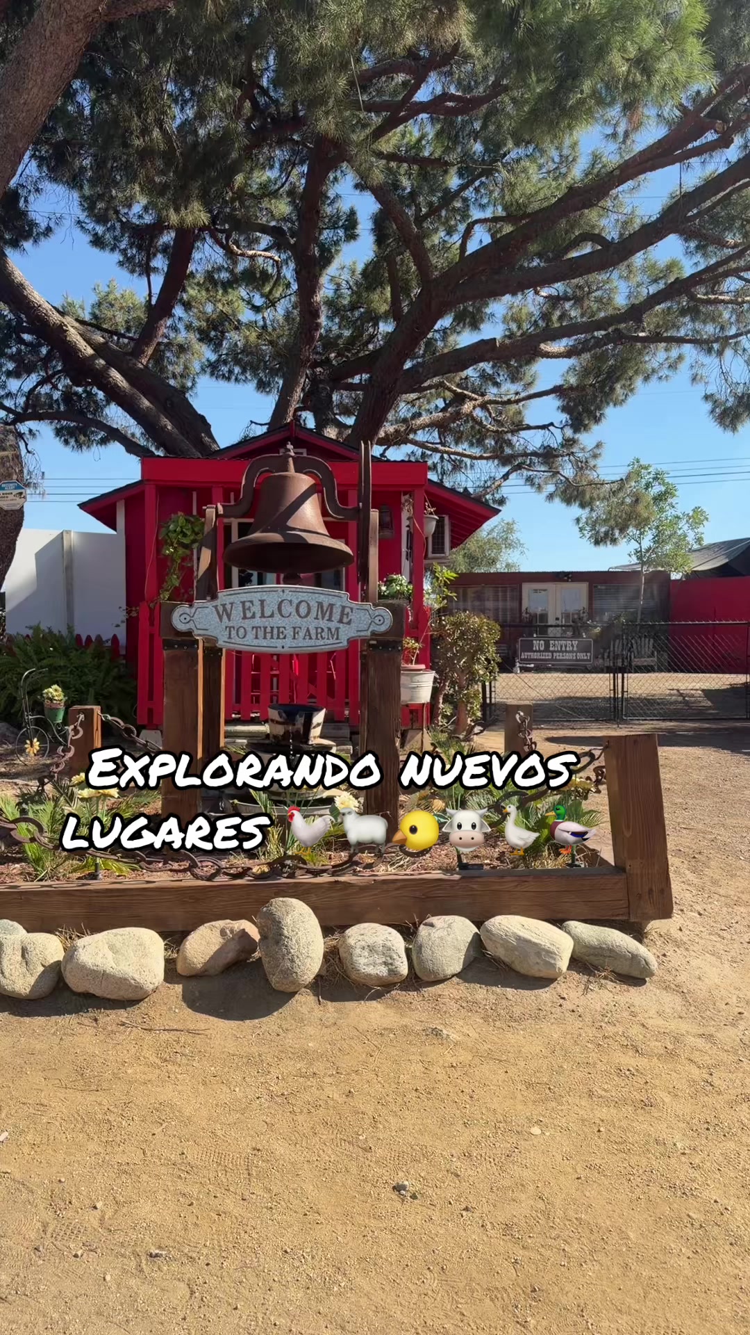 @AnitaP🌻P99