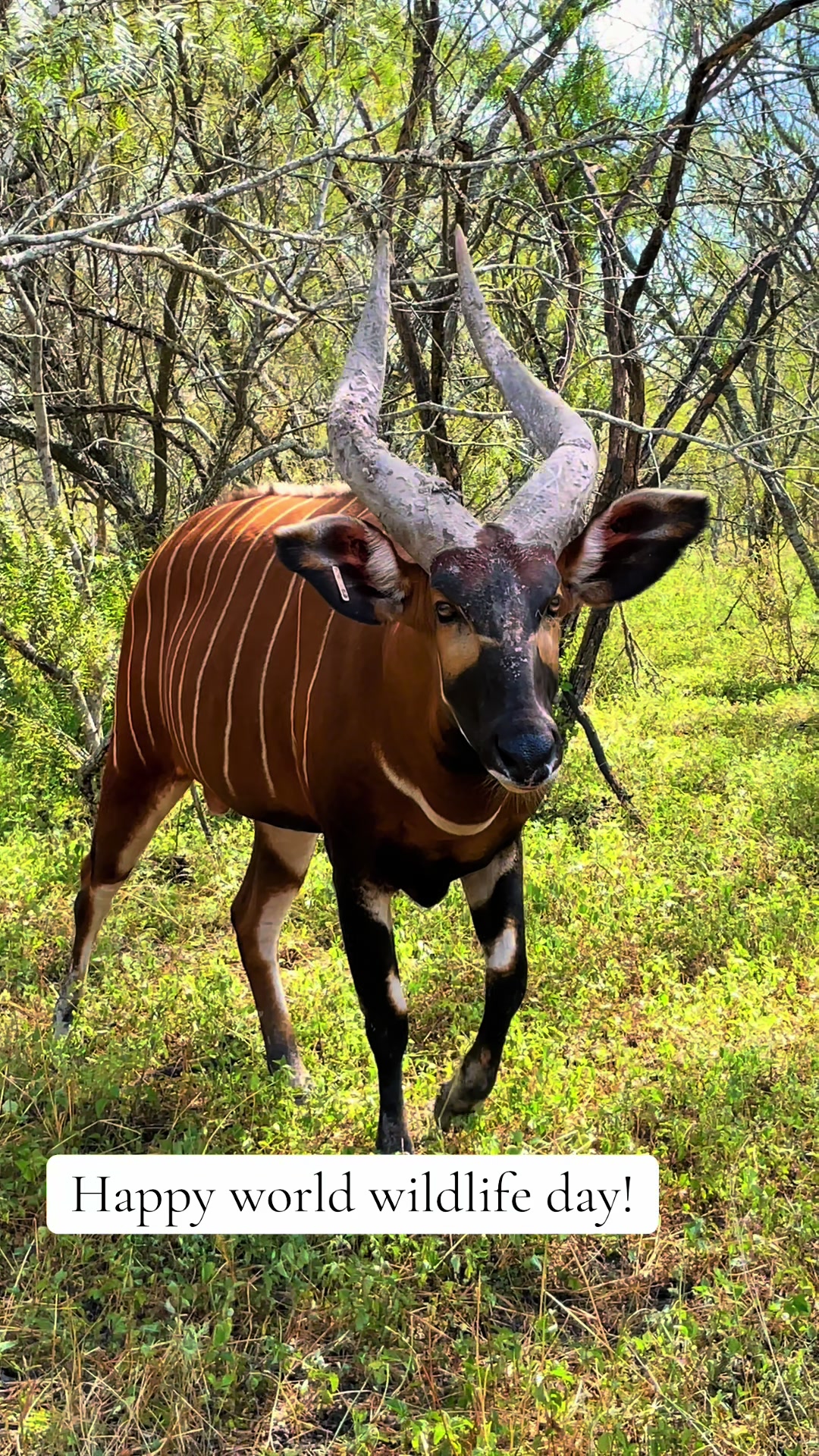 @WildLife Partners