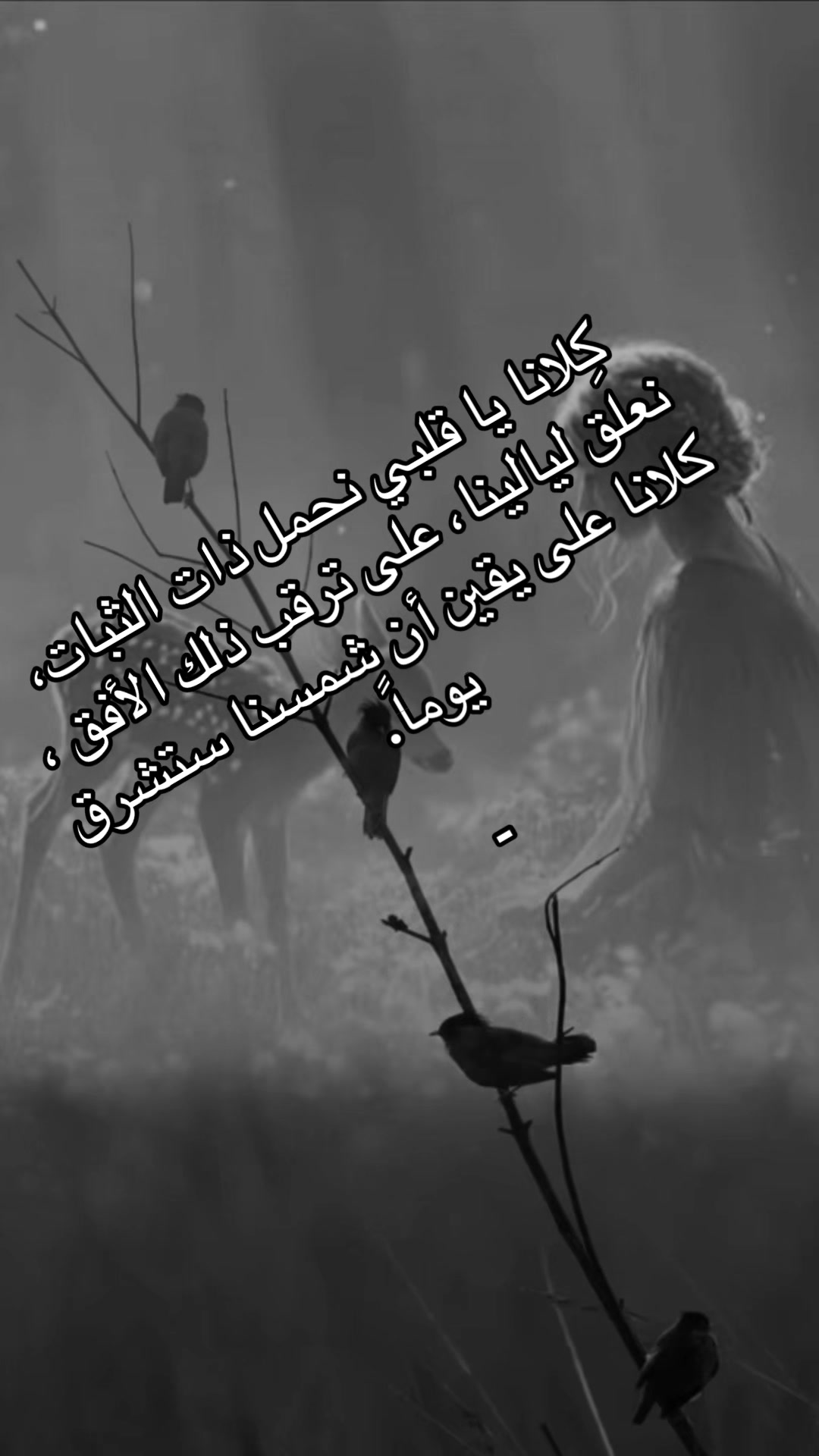 @🇵🇸🇵🇸Joujou Masri🇱🇧
