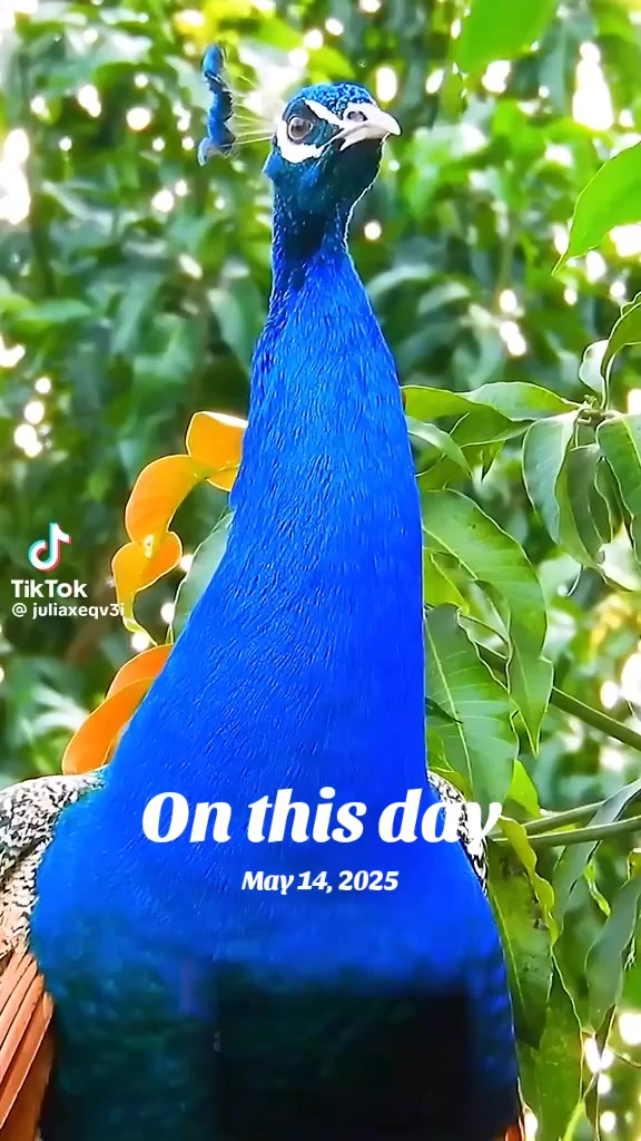 @बिन्दास