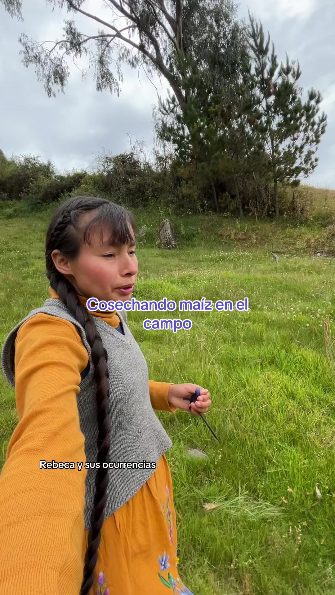 @🐈Rebeca y sus ocurrencias