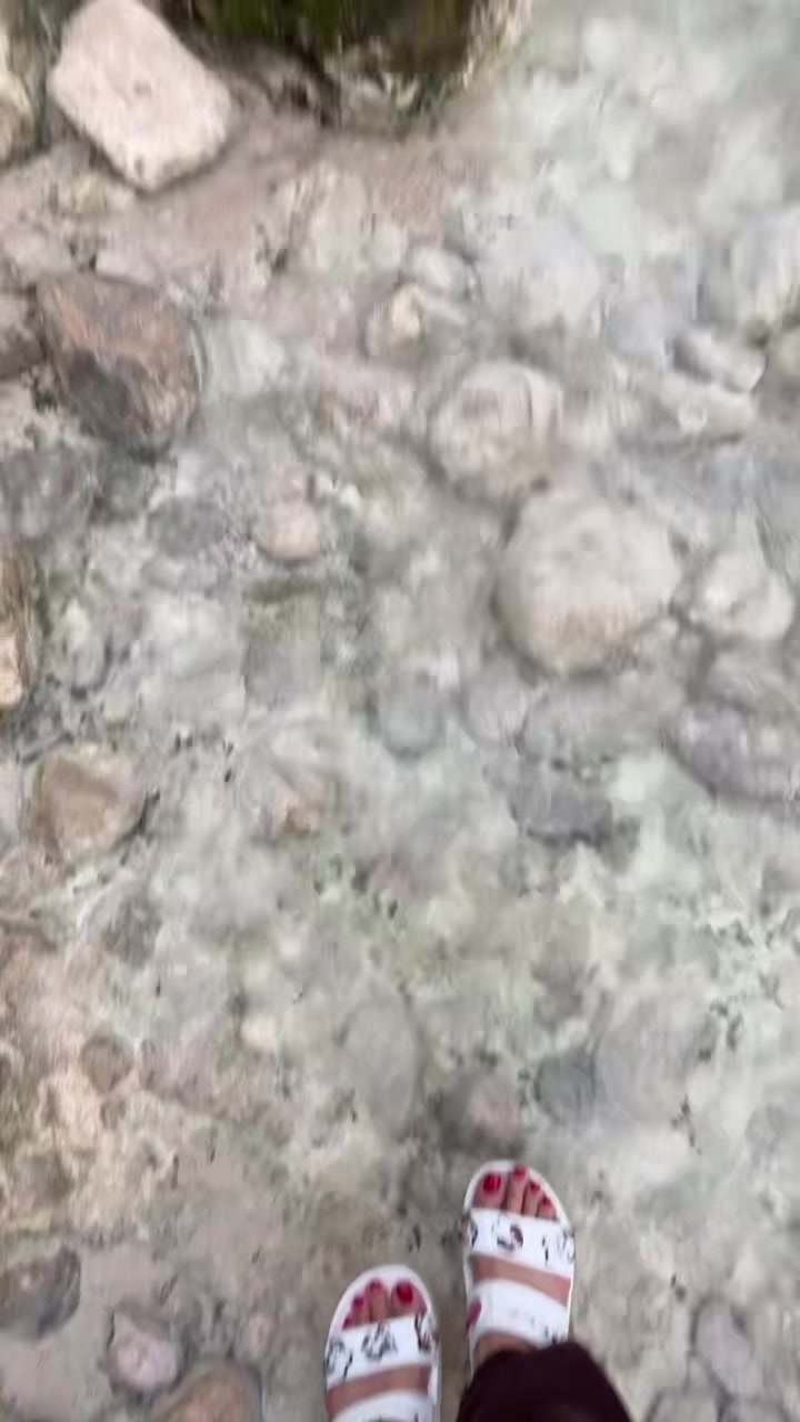 @Assi_wolf111