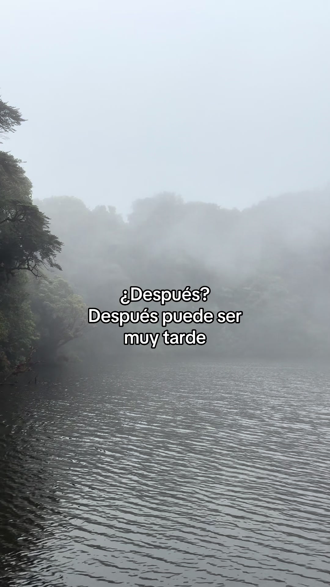 @Esteban Ramirez