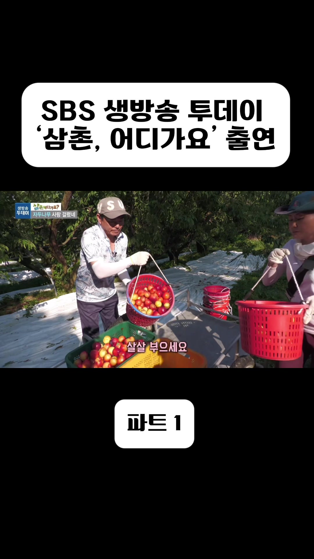 @은주네농원&슬기로운 시골생활