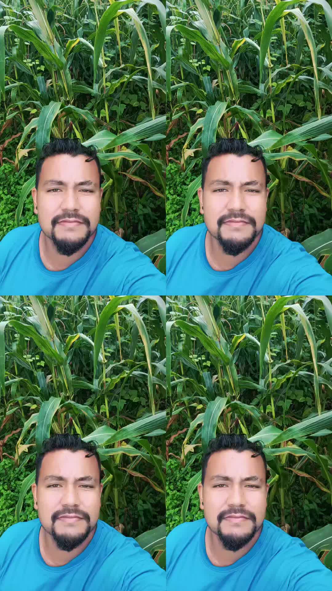 @Arayan Singh thakuri