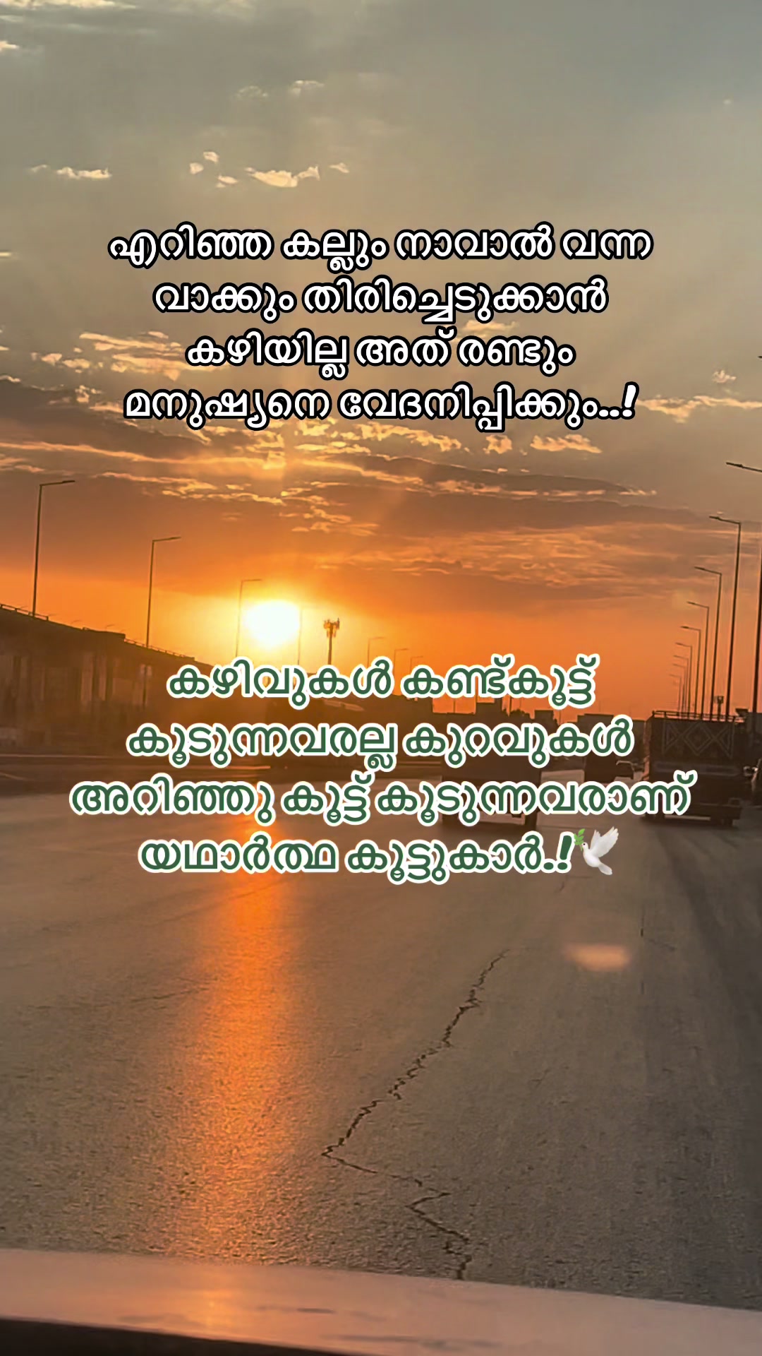 @PK.ShaFeeQ RUH❤️