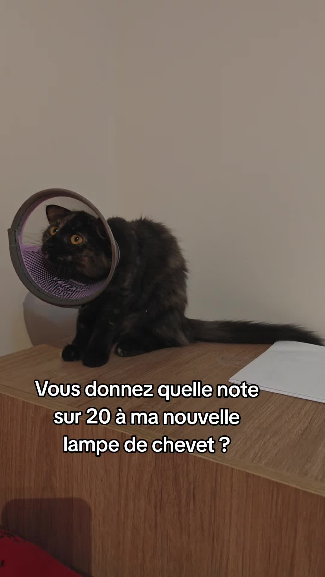 @AhlFa