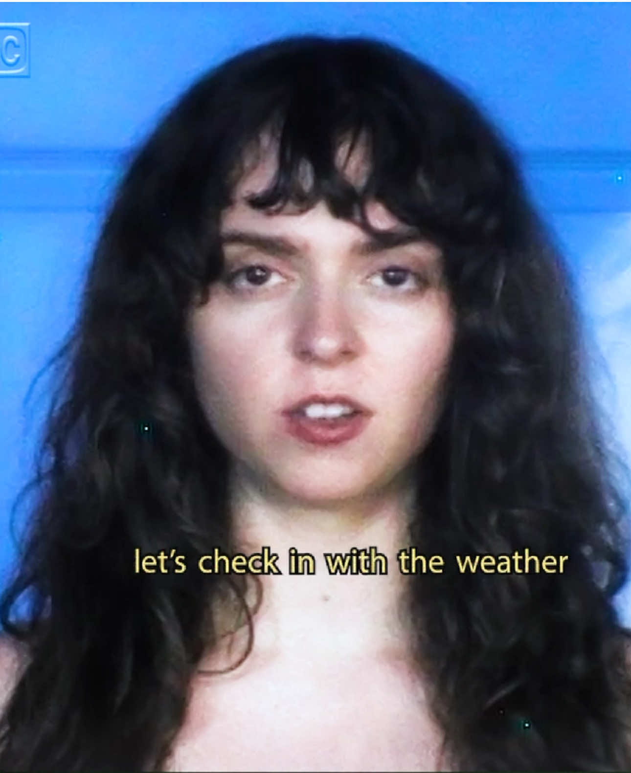 @The Velveteers