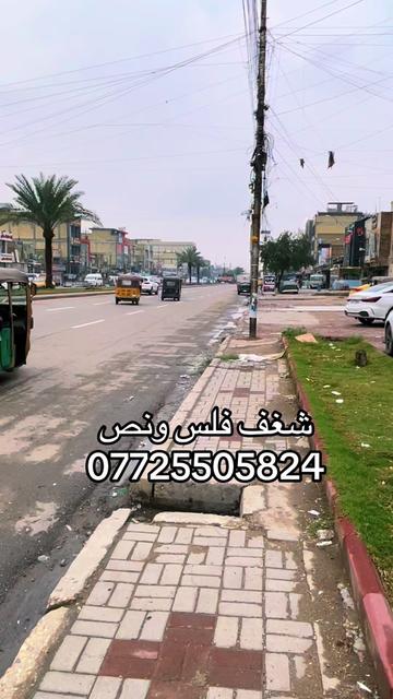 @شغف فلس ونص