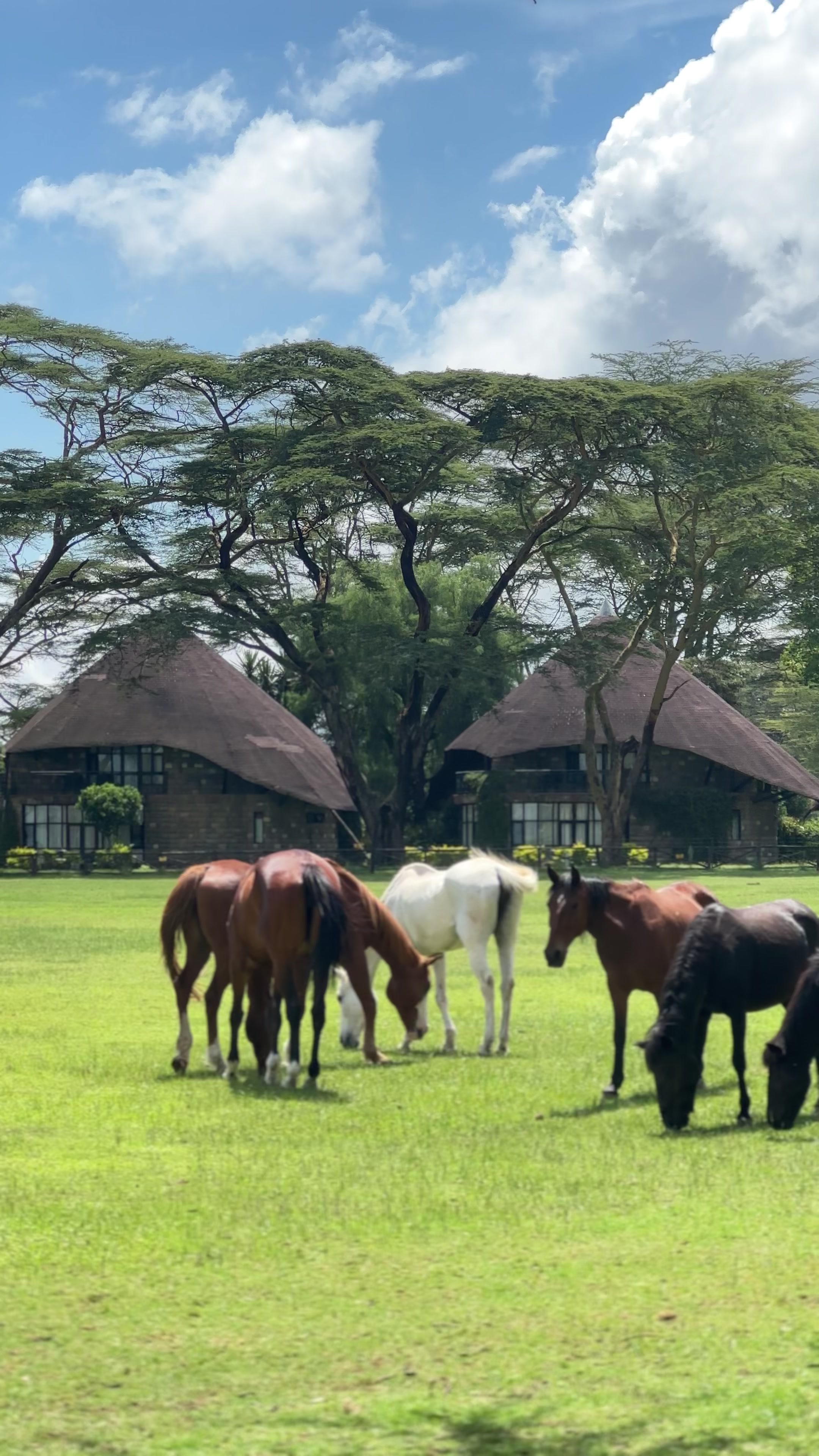 @Adam Maina |Travel & Lifestyle
