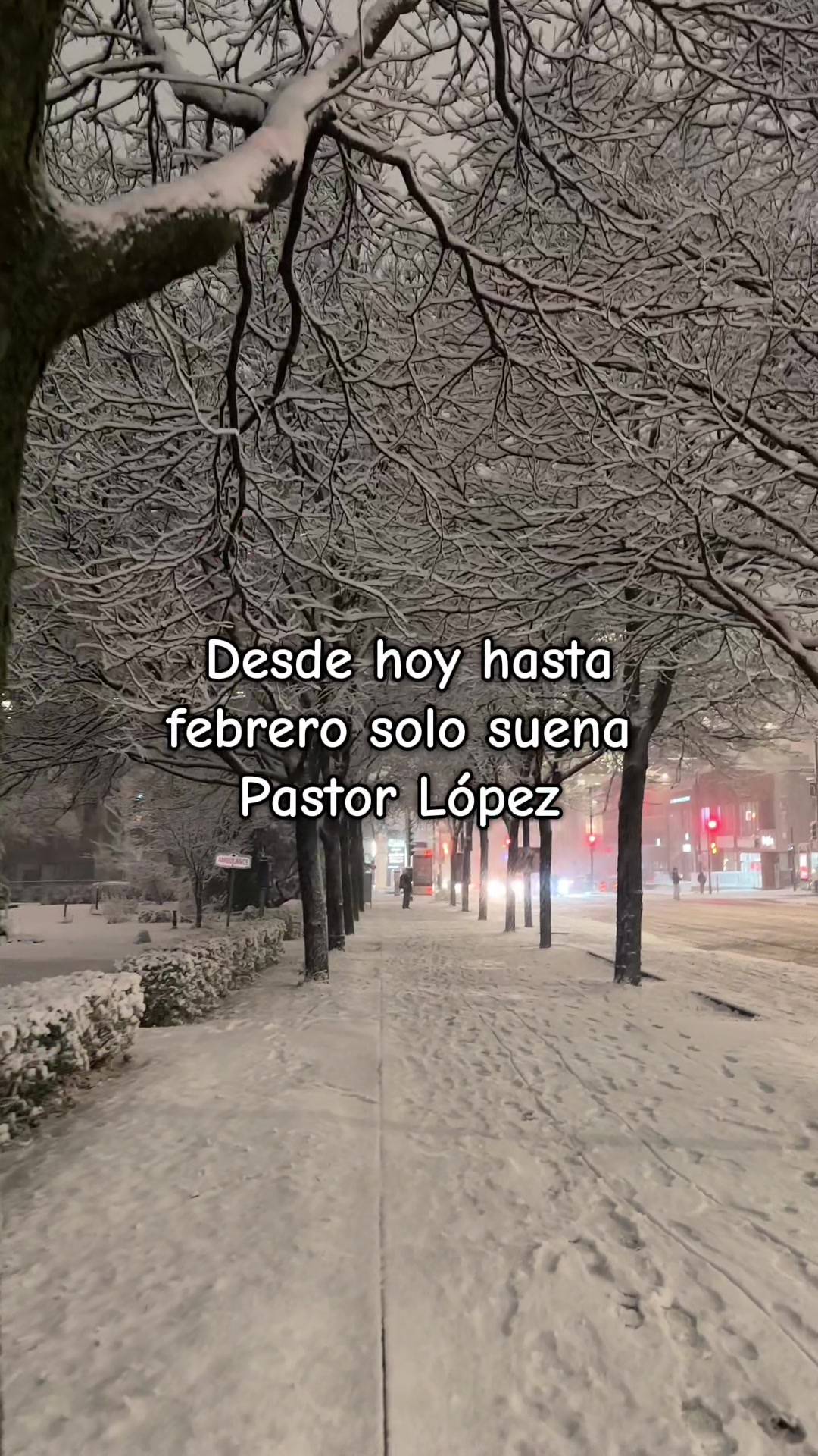@Melisa Velasco.🌻