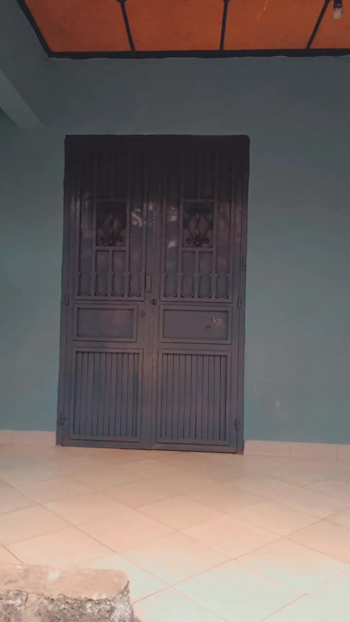 @ip man d&rsquo;Afrique