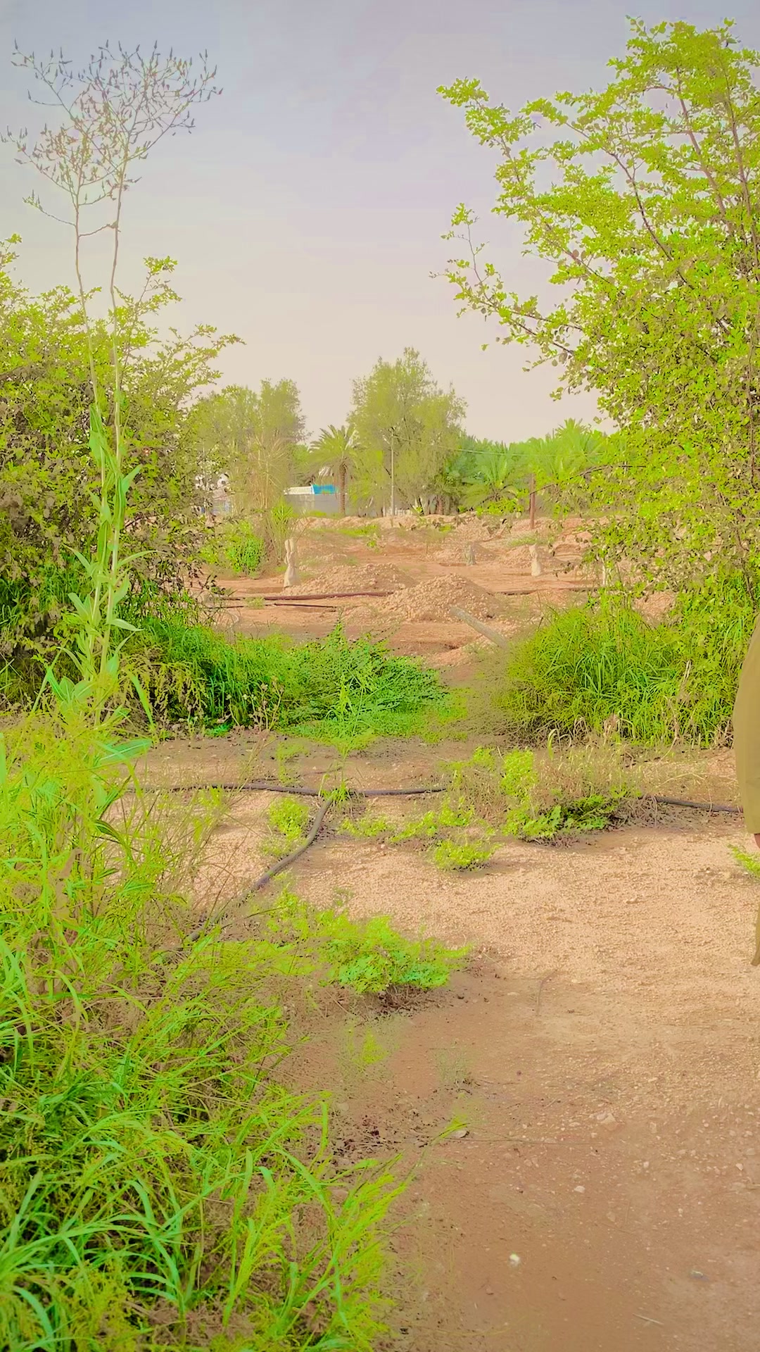 @🔥فرخان نواز 🔥