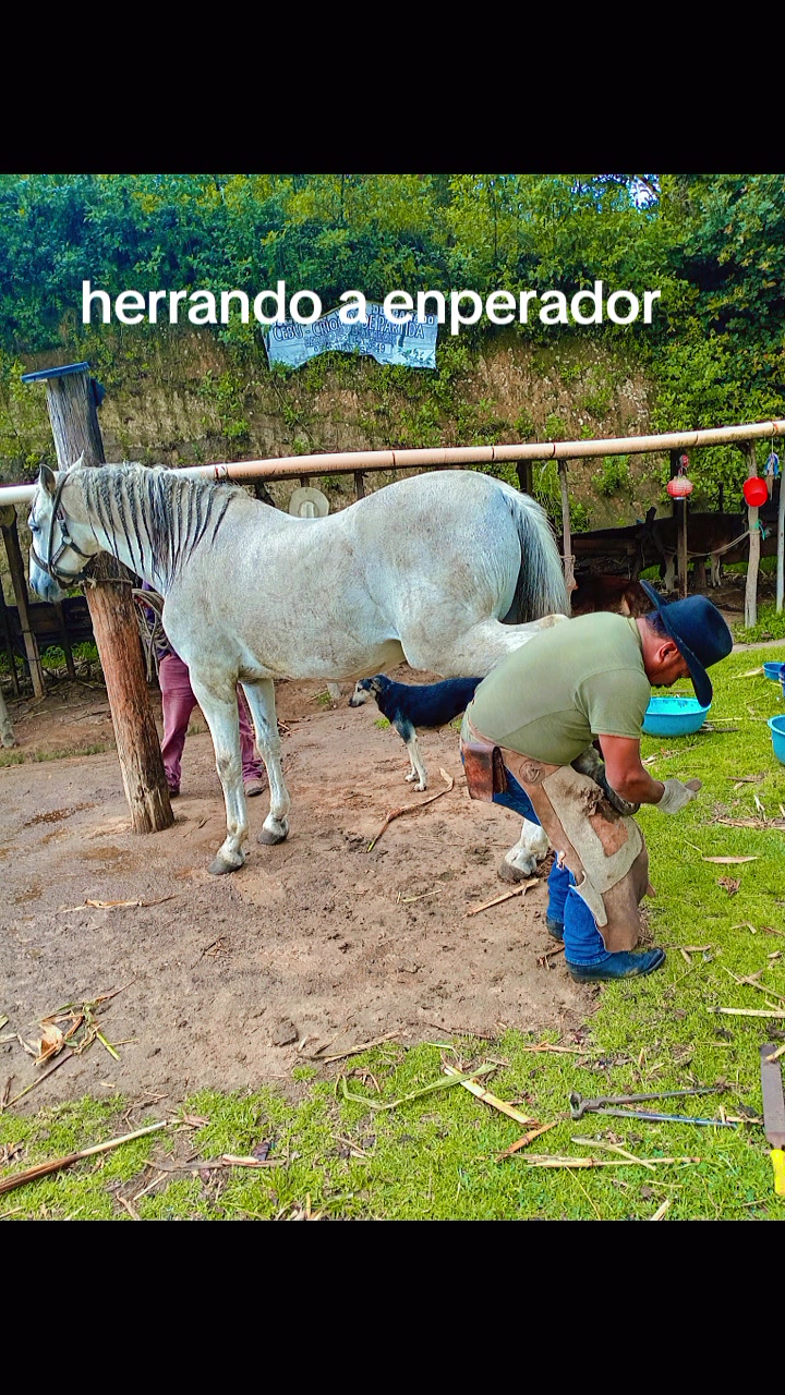 @Gerson sosa