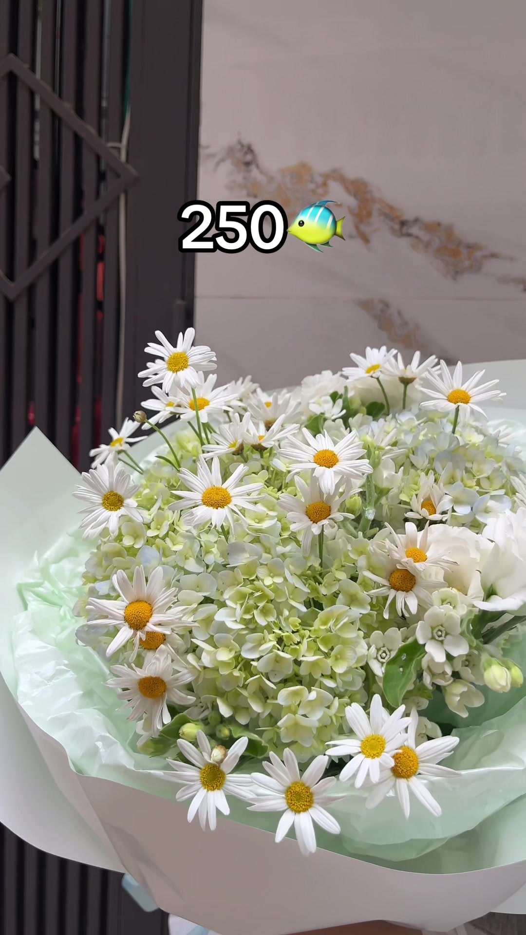 @Ỏn Ẻn