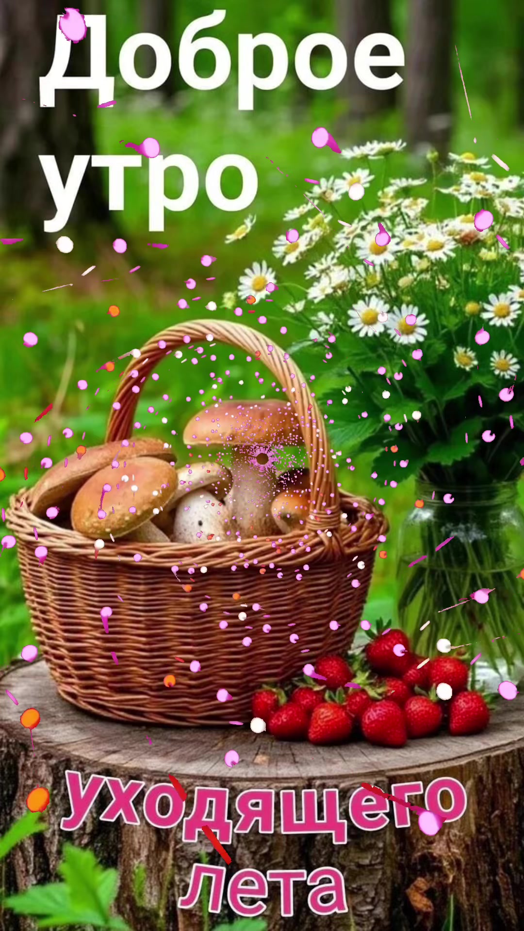 @🕊️❤️Надежда❤️🕊️