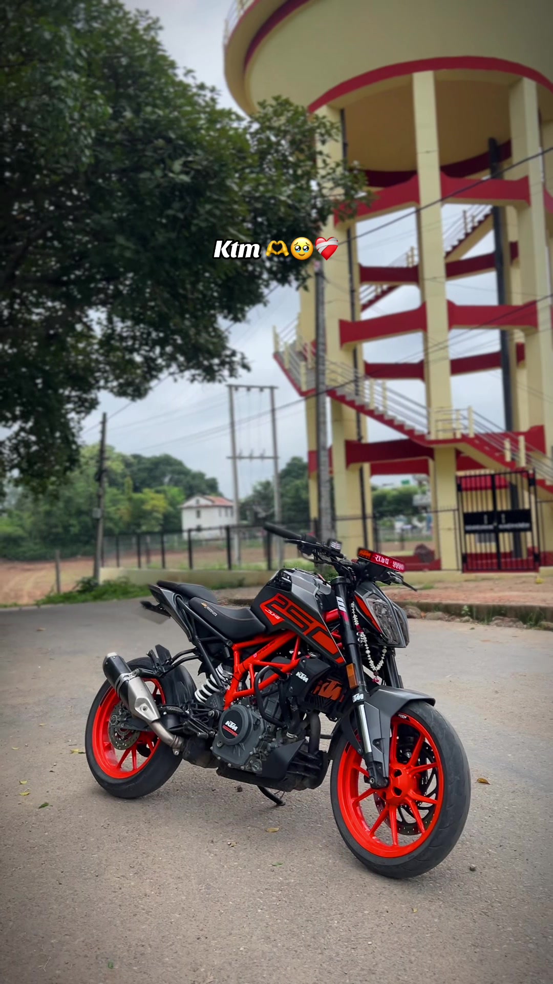 @ＴＯＲＱＵＥ_２５０ 💀