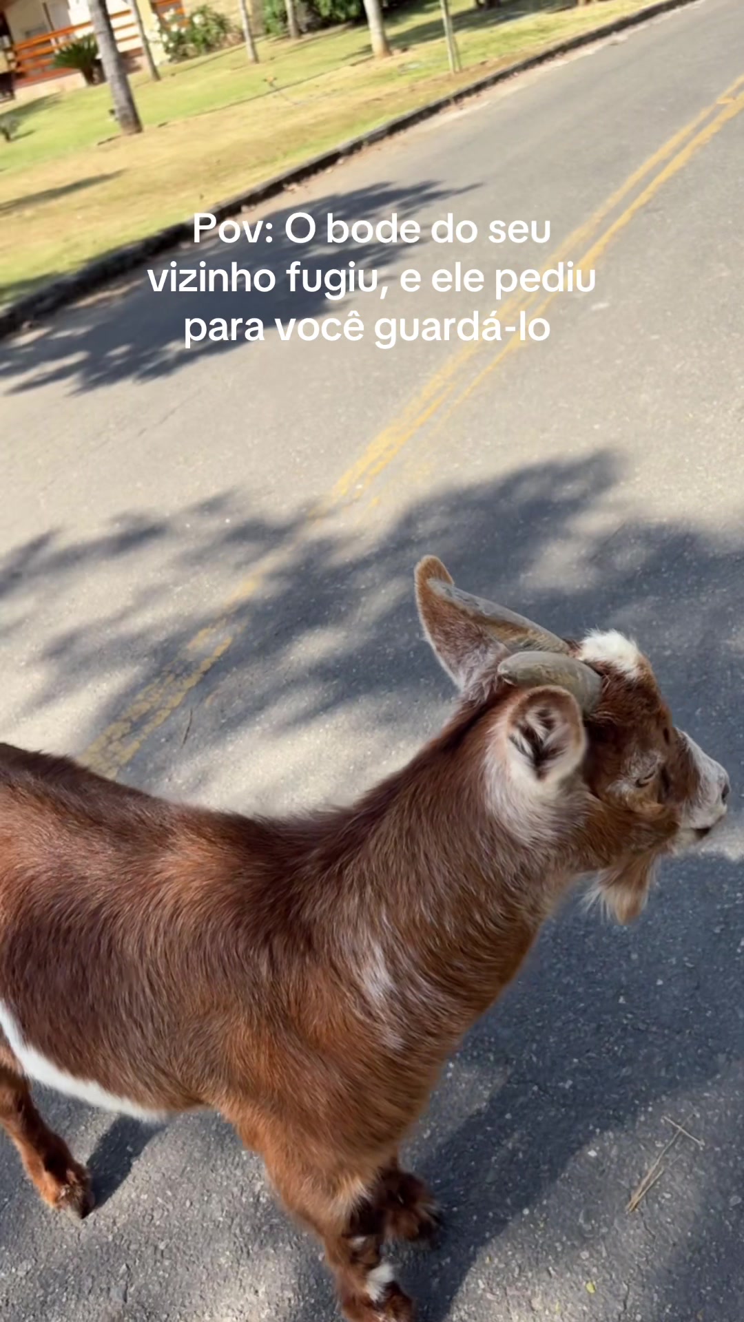 @Camily Martinez