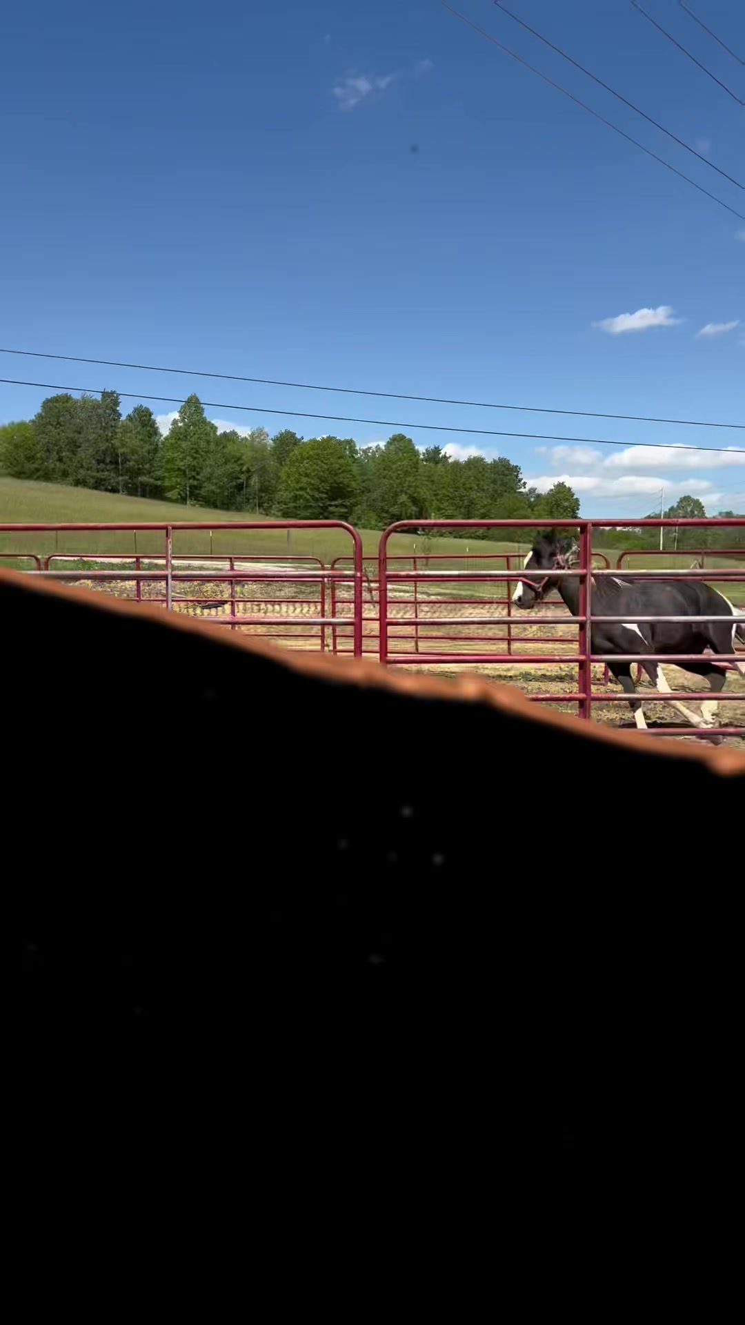 @Libby🐾❤️🐴