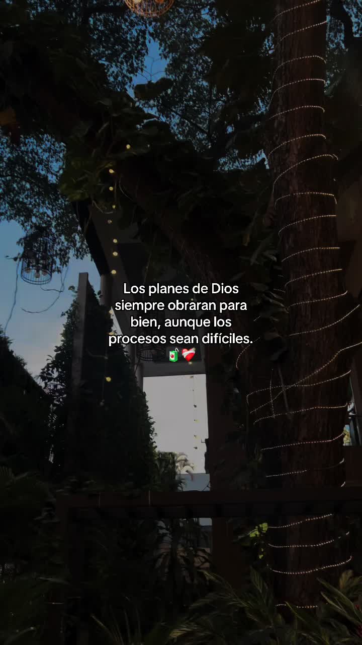 @Fernanda Carvajal