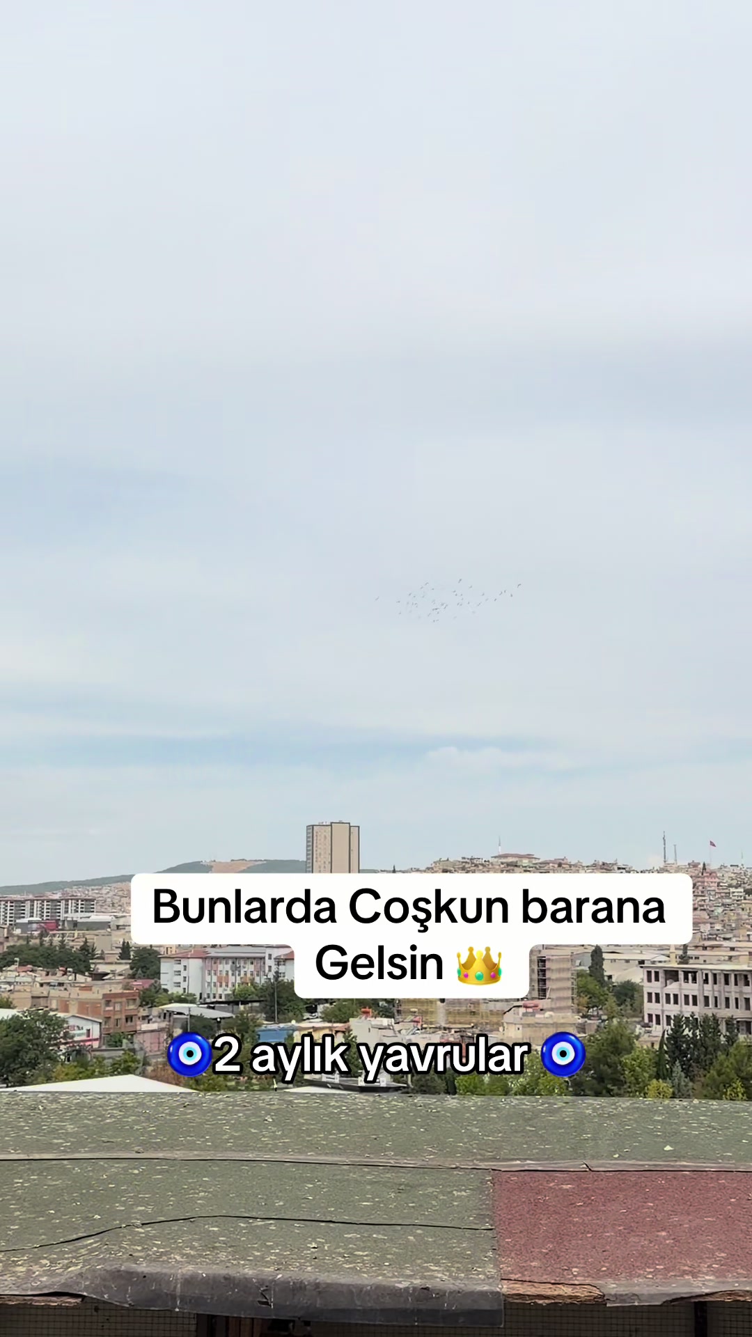 @🔥İbrahim bozyılan🔥
