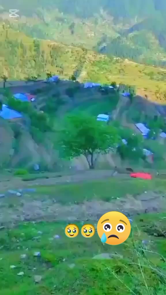 @falaknaz 51