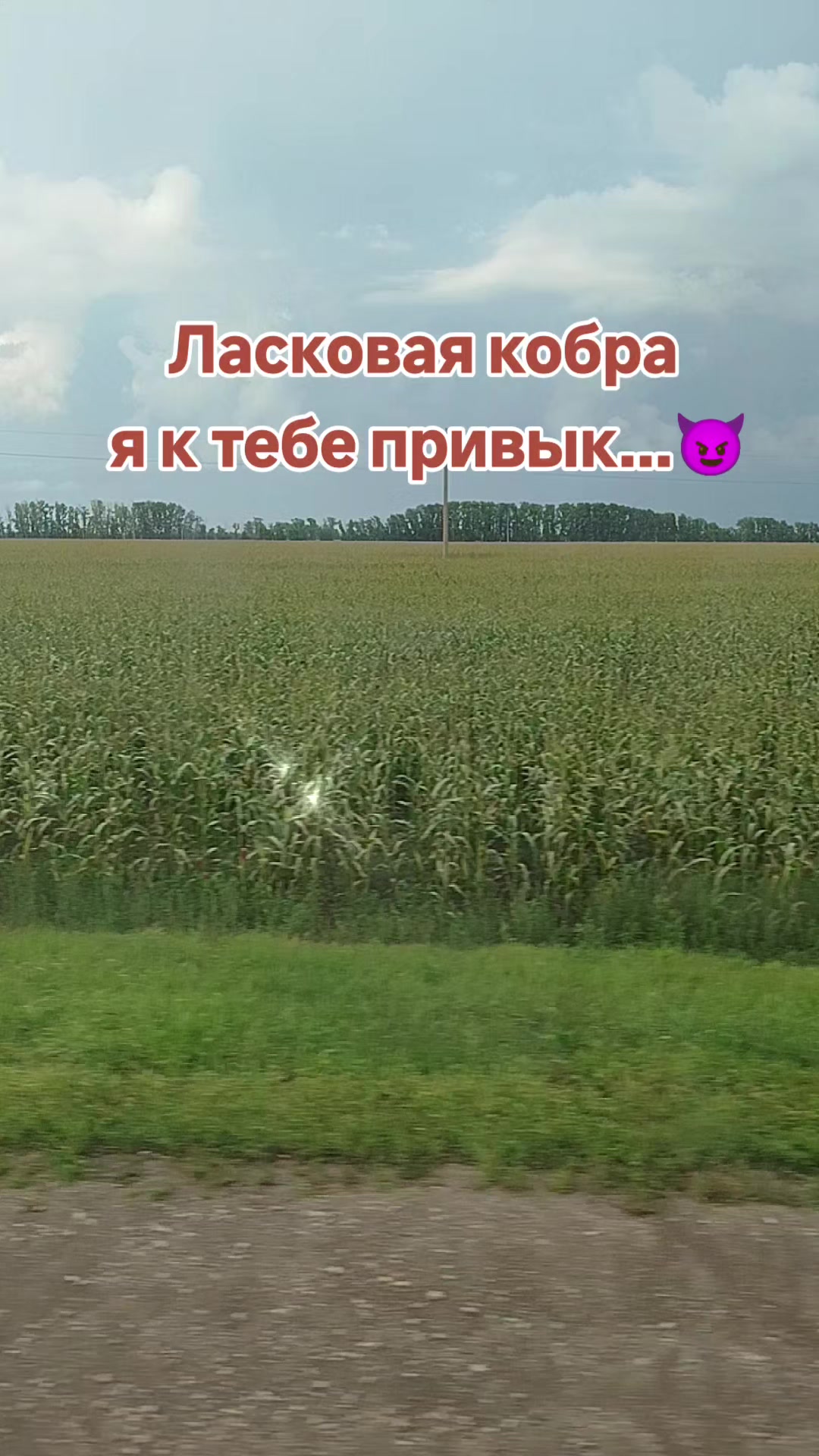 @Галчонок
