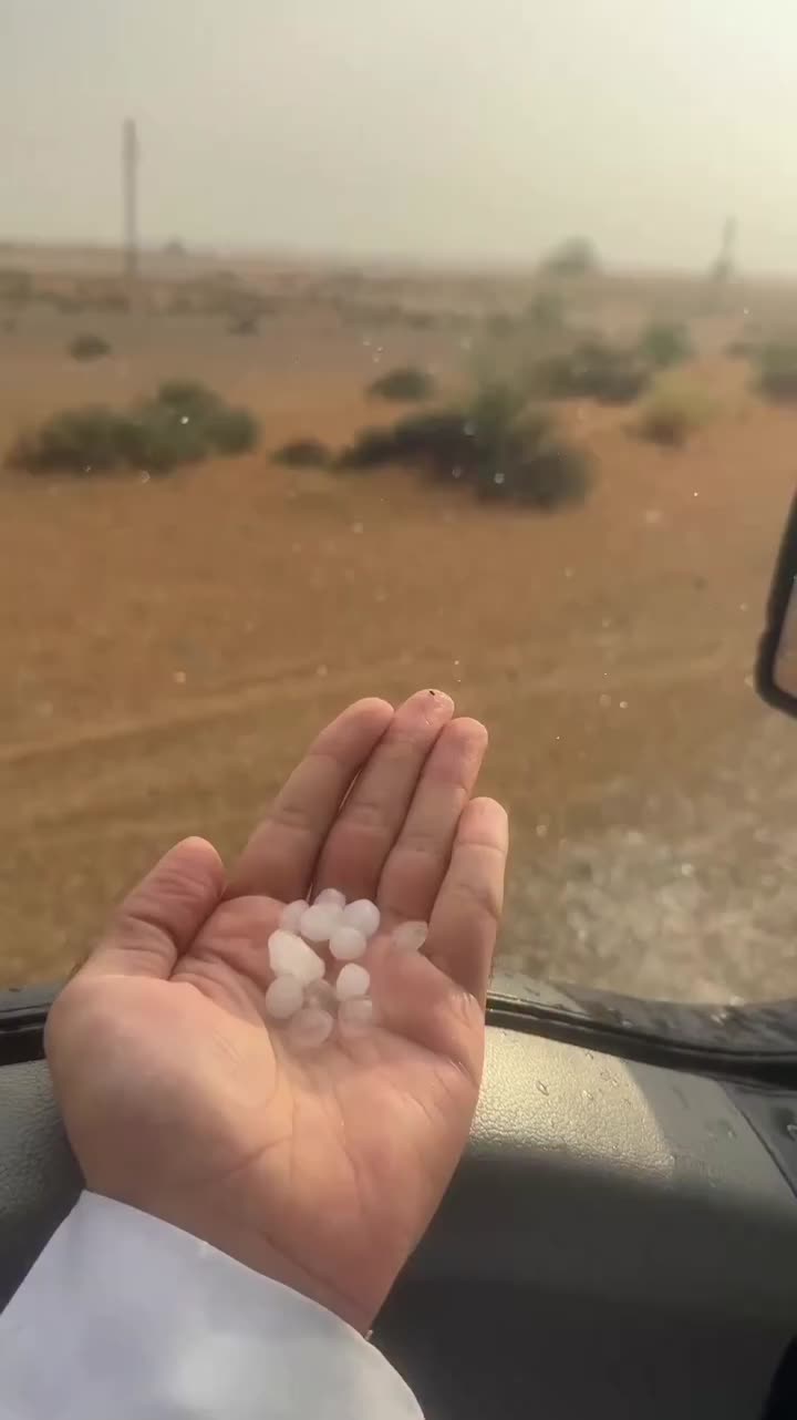 @ولد زايد 🇦🇪