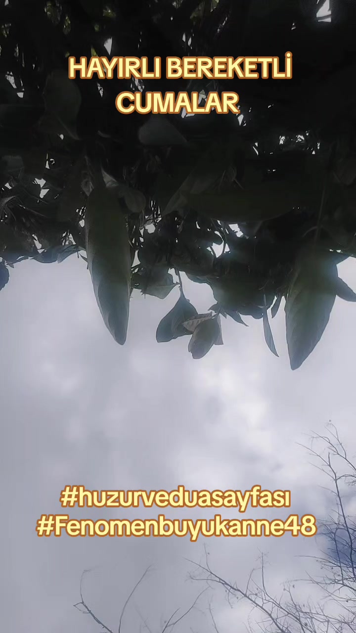 @Fenomenbuyukanne48