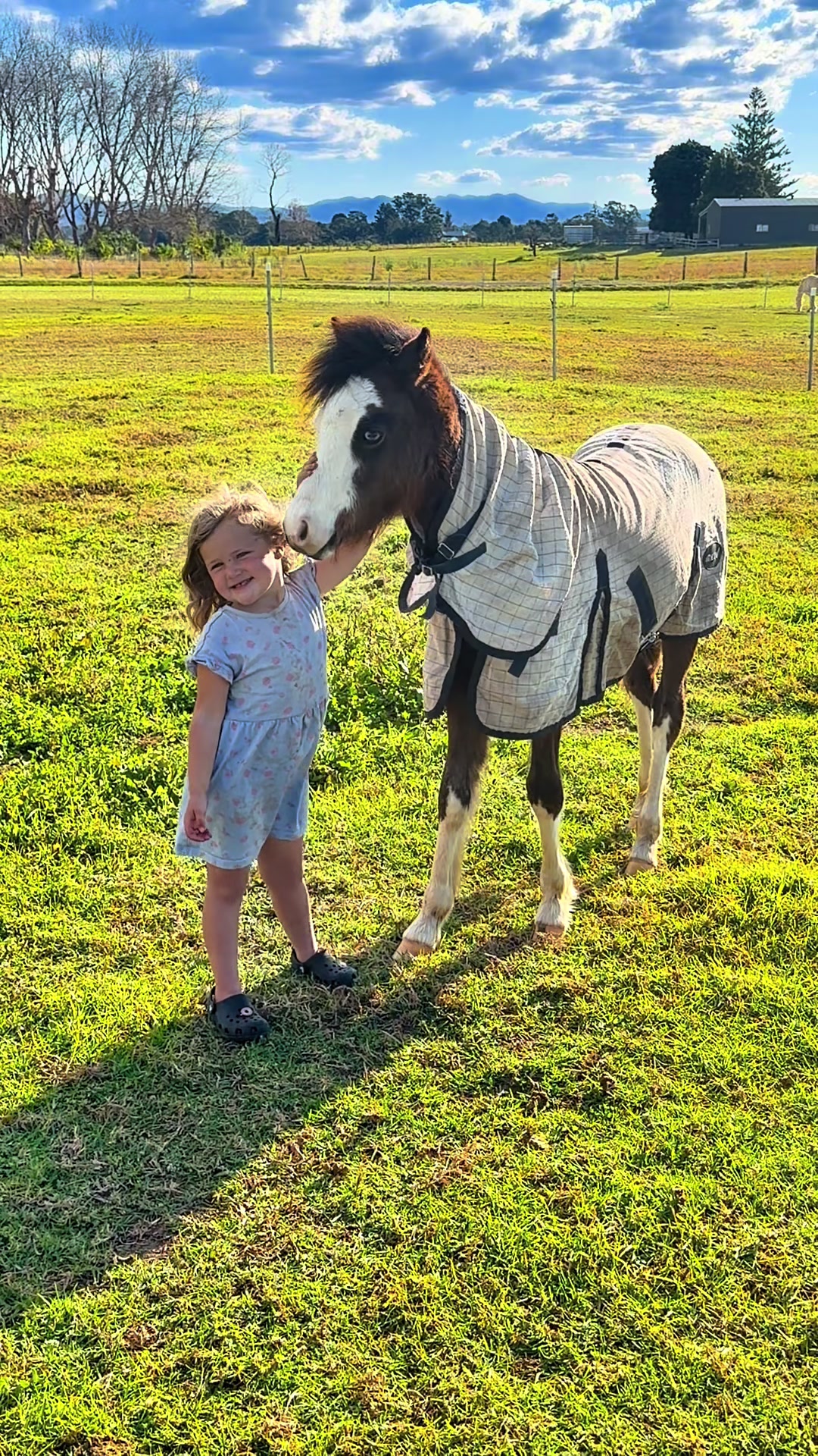@RV Park Show Ponies