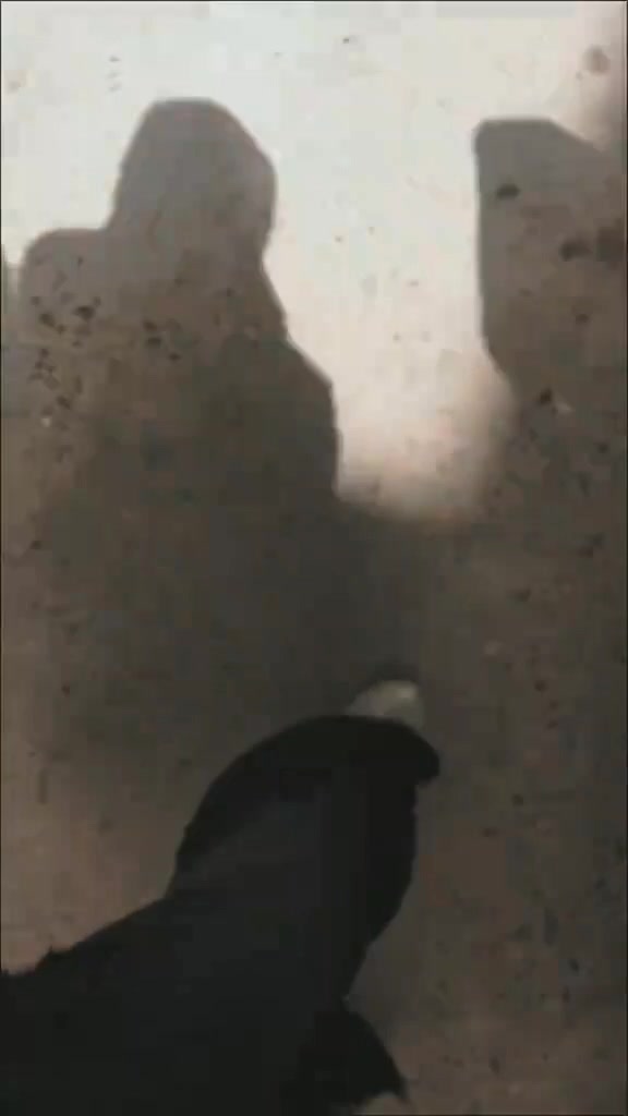 @ᴋʜᴀɴ ᴢᴀᴅɪᴇ