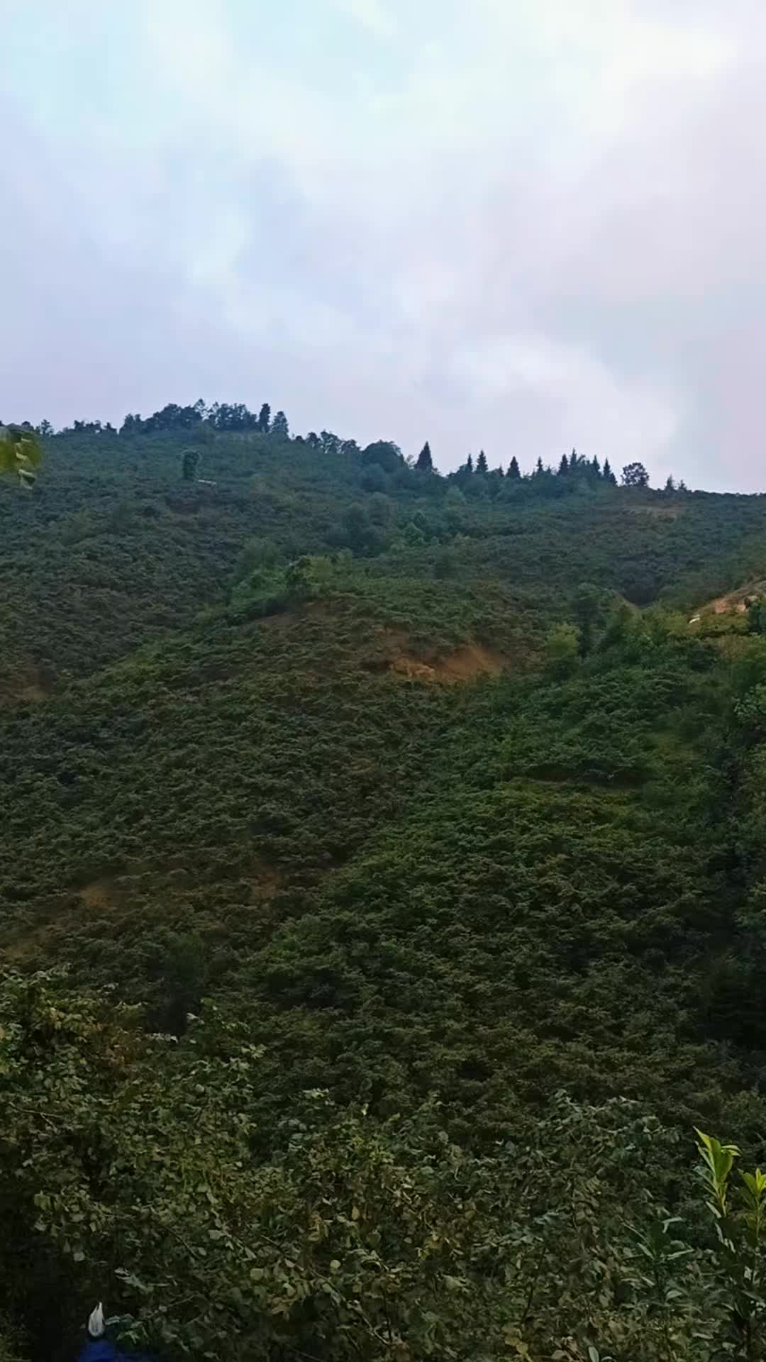 @&Ccedil;elik28🌹