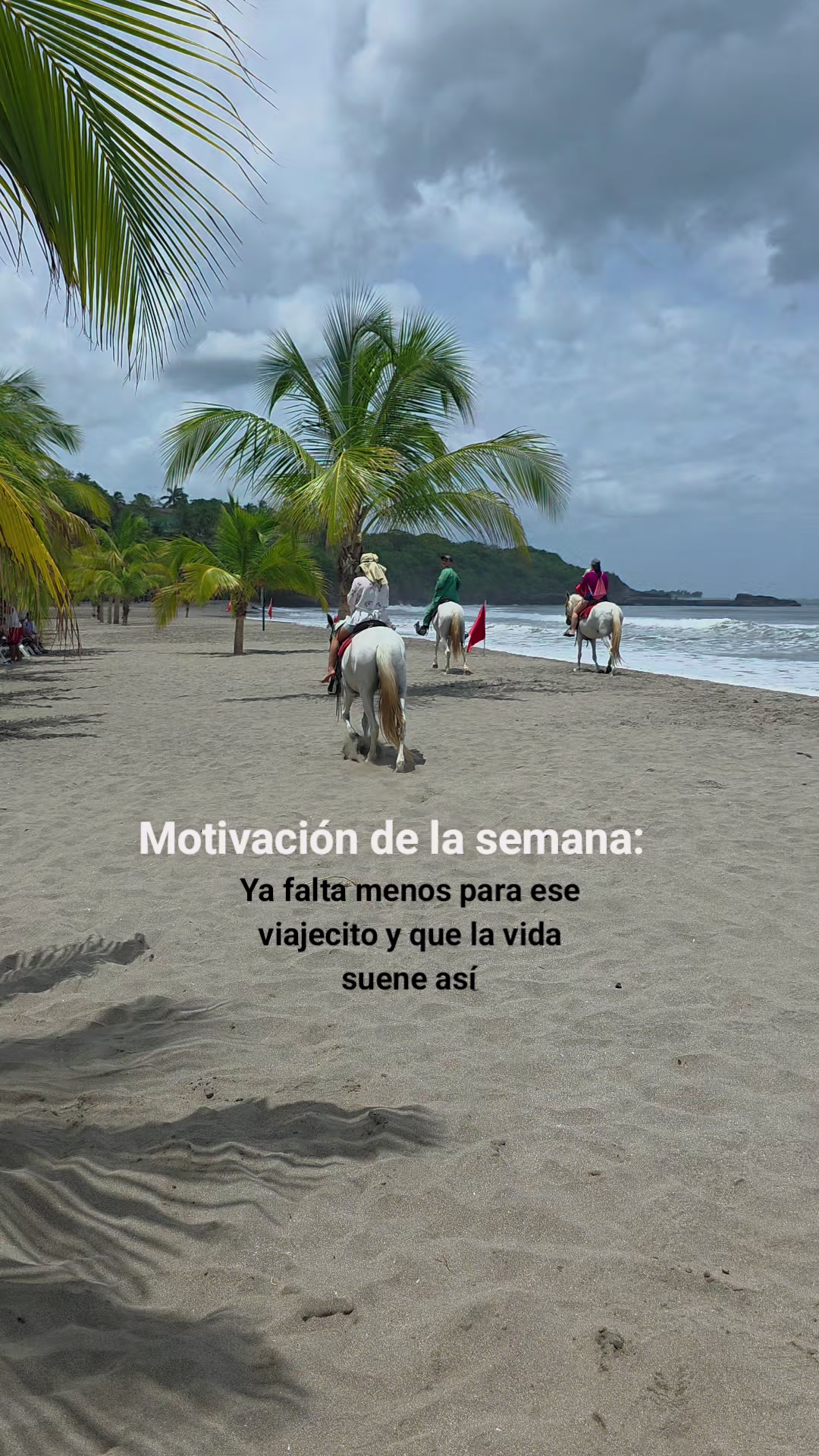@Agencia Montelimar 🌊☀️🌴