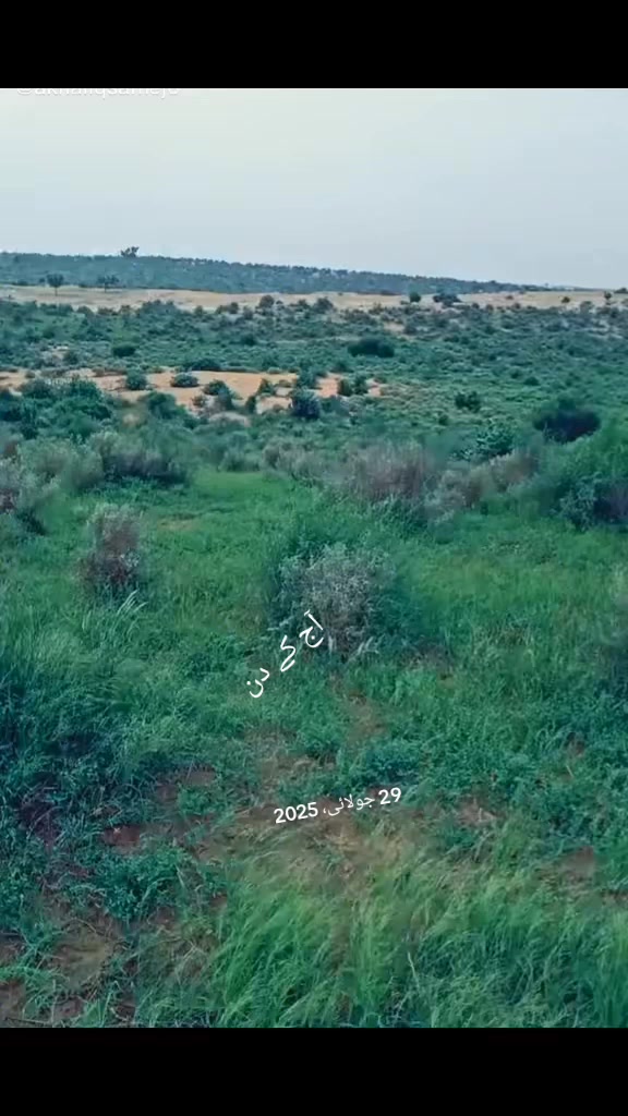 @S.S.L