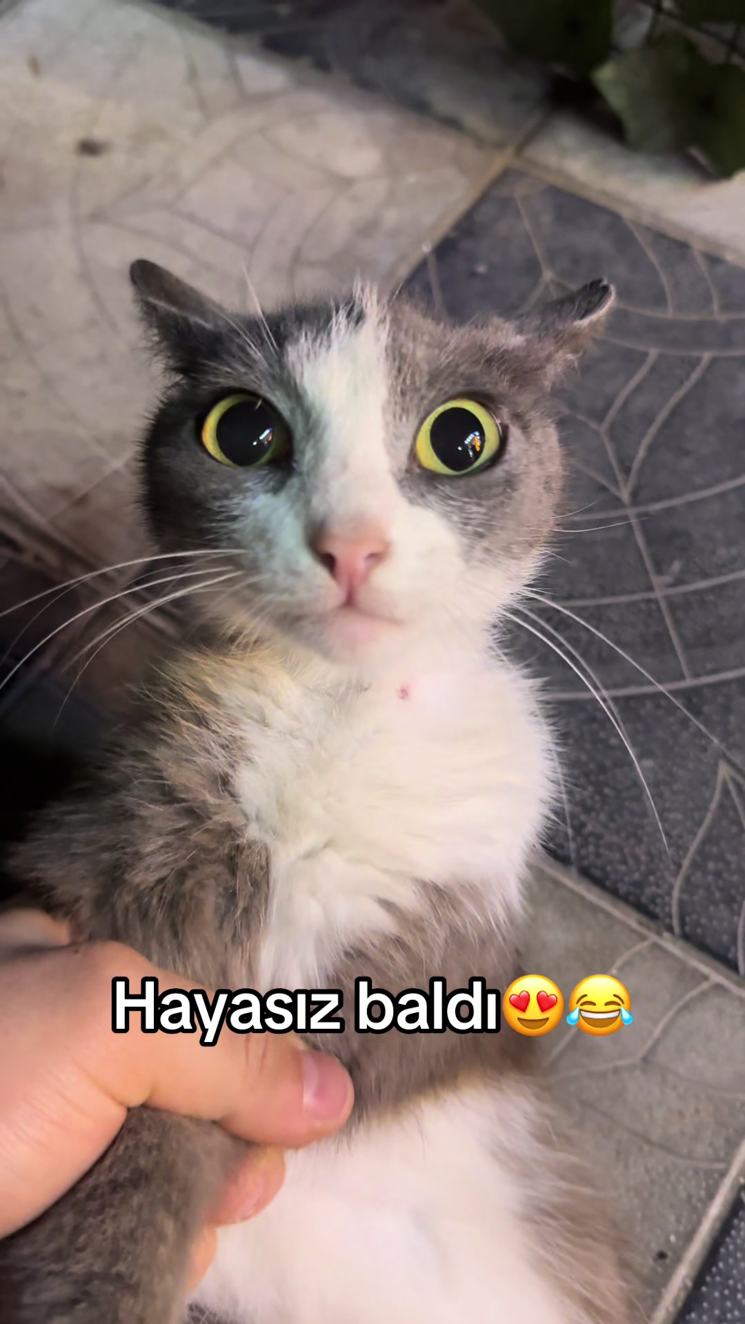 @Qalib999