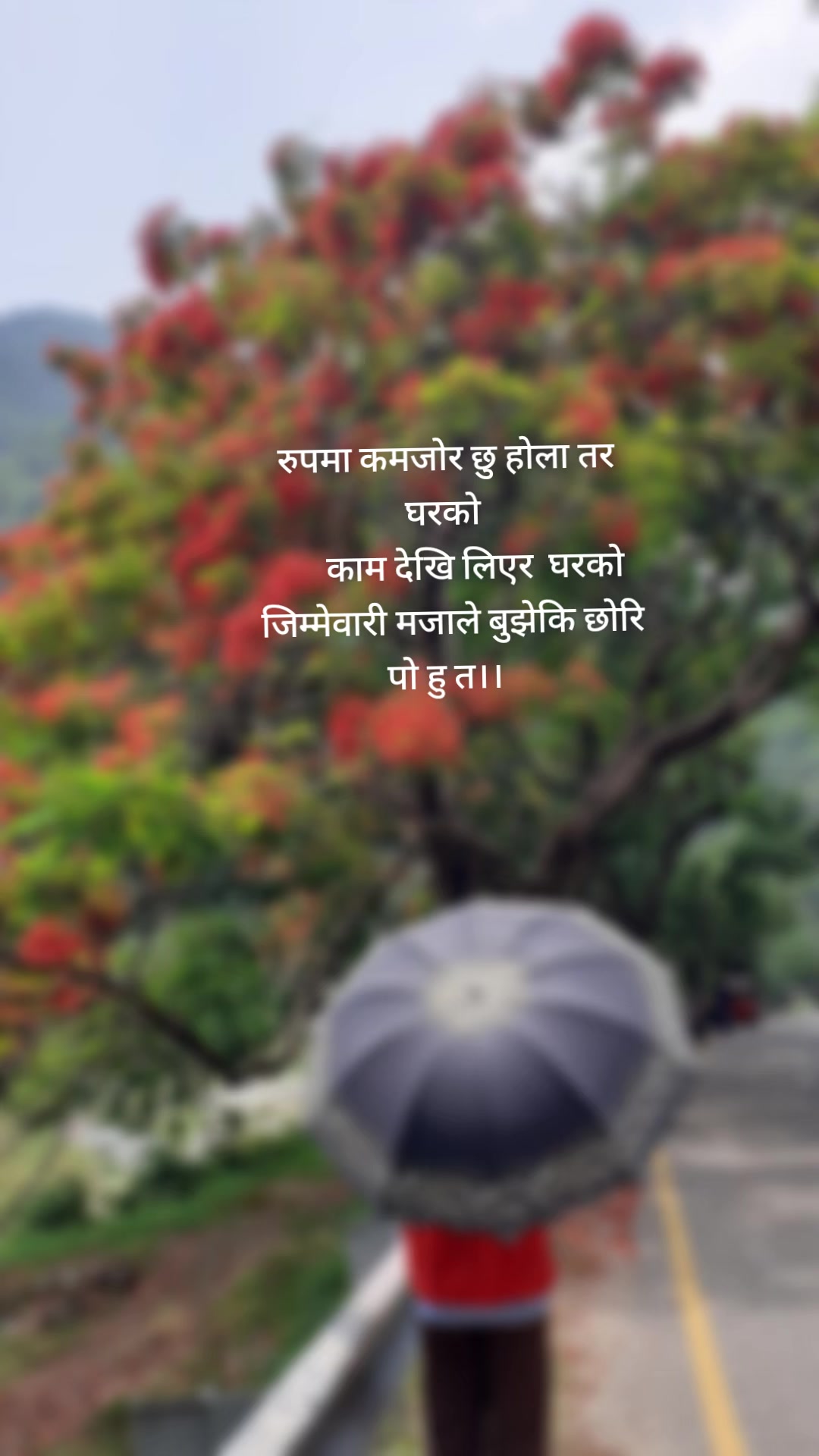 @lama💞💖🥰trisha